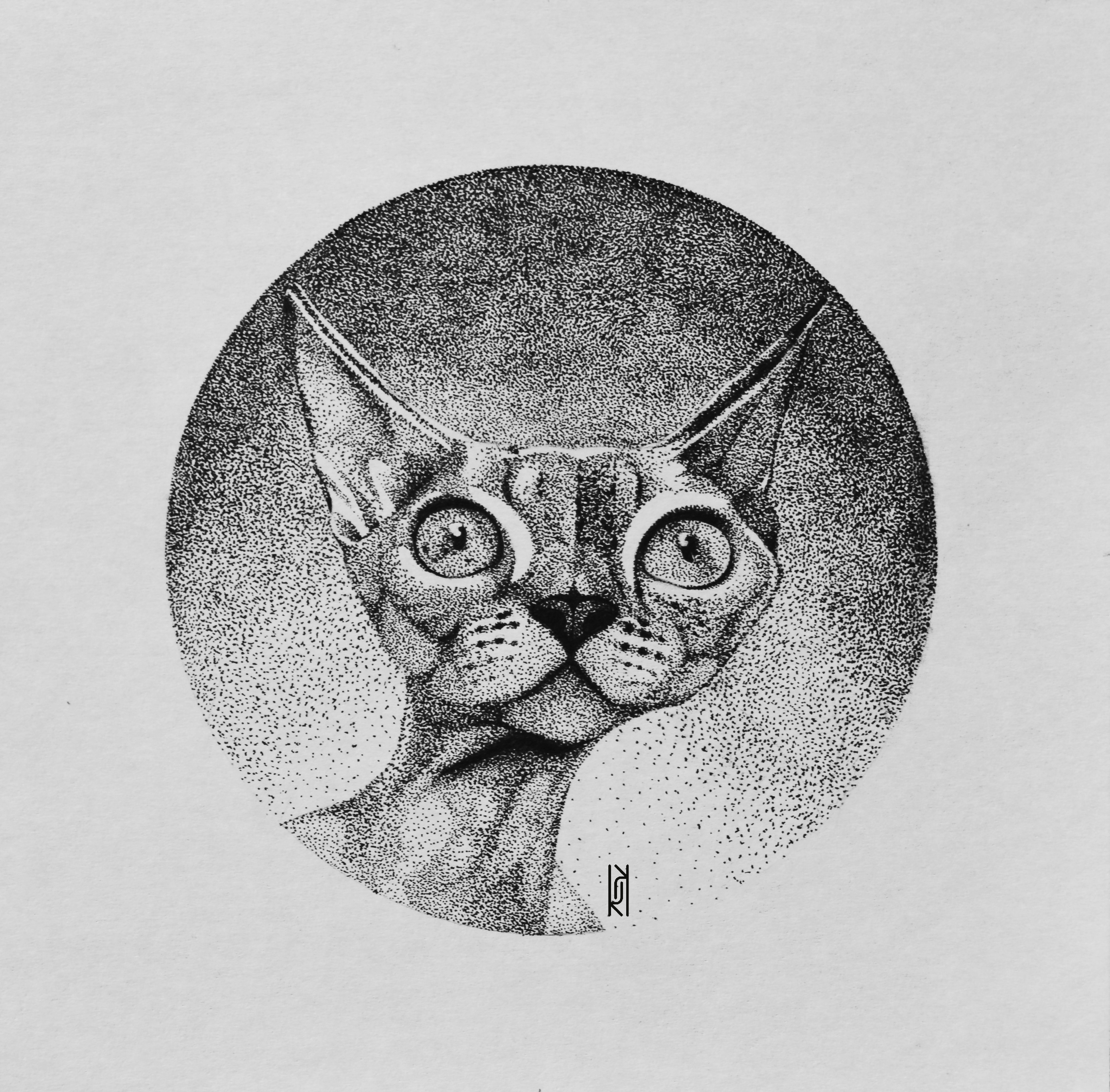 Cats — Изображение №1 — Иллюстрация, Графика на Dprofile