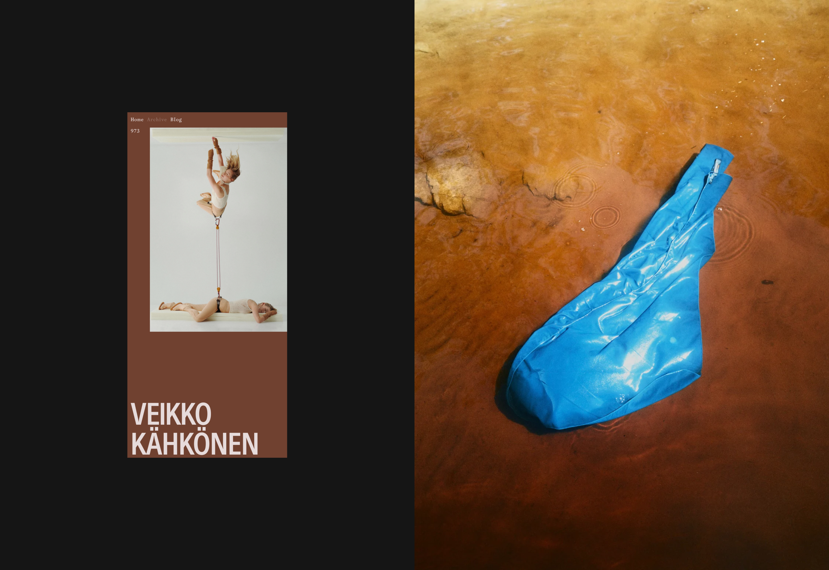 Veikko Kähkönen Photographer — Изображение №9 — Интерфейсы, Анимация на Dprofile
