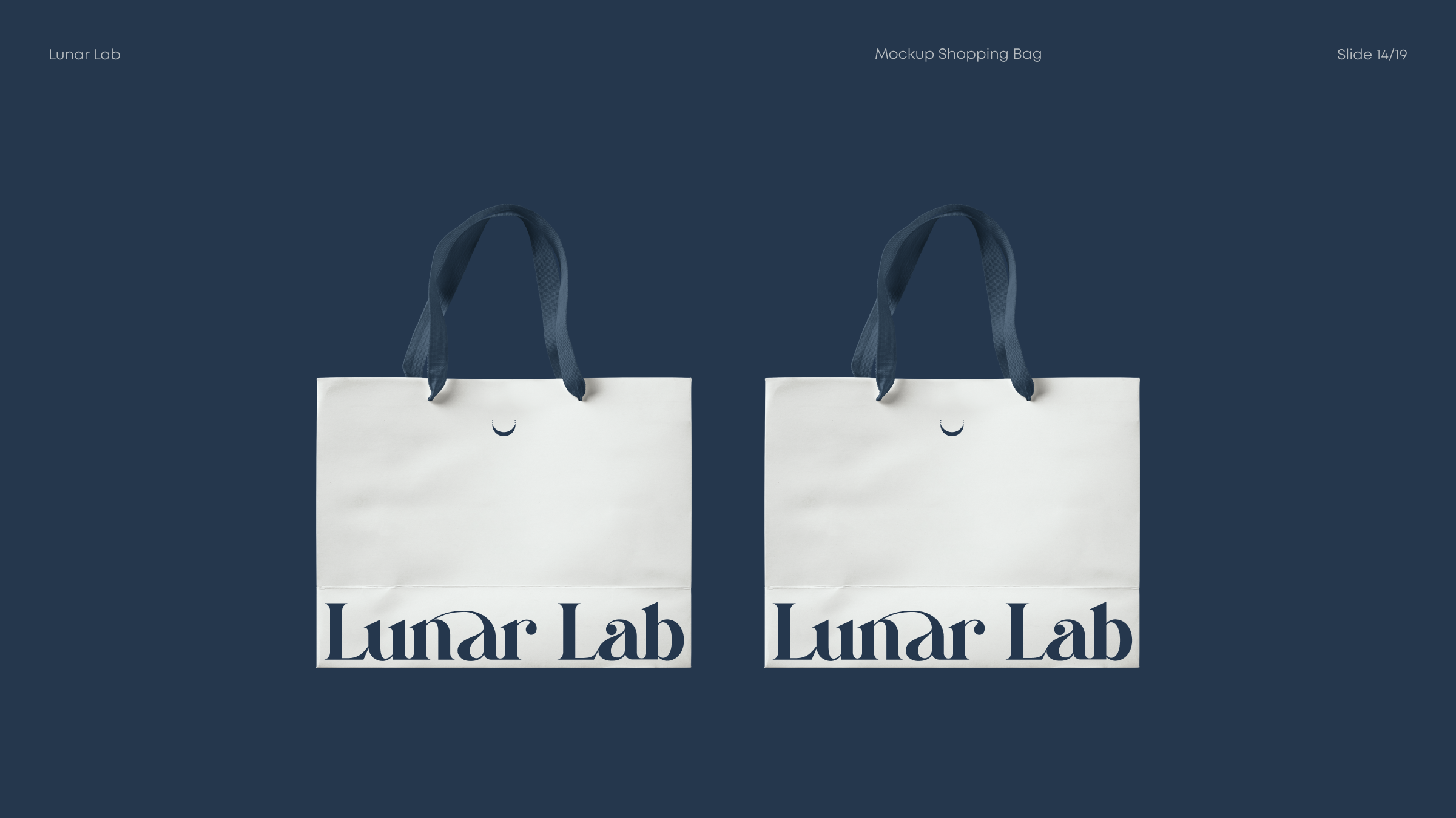 Lunar Lab | Brand Identity — Изображение №14 — Брендинг на Dprofile