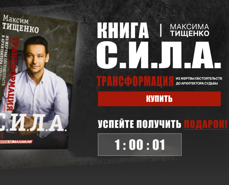 "С.И.Л.А." Максима Тищенкоко — Интерфейсы на Dprofile