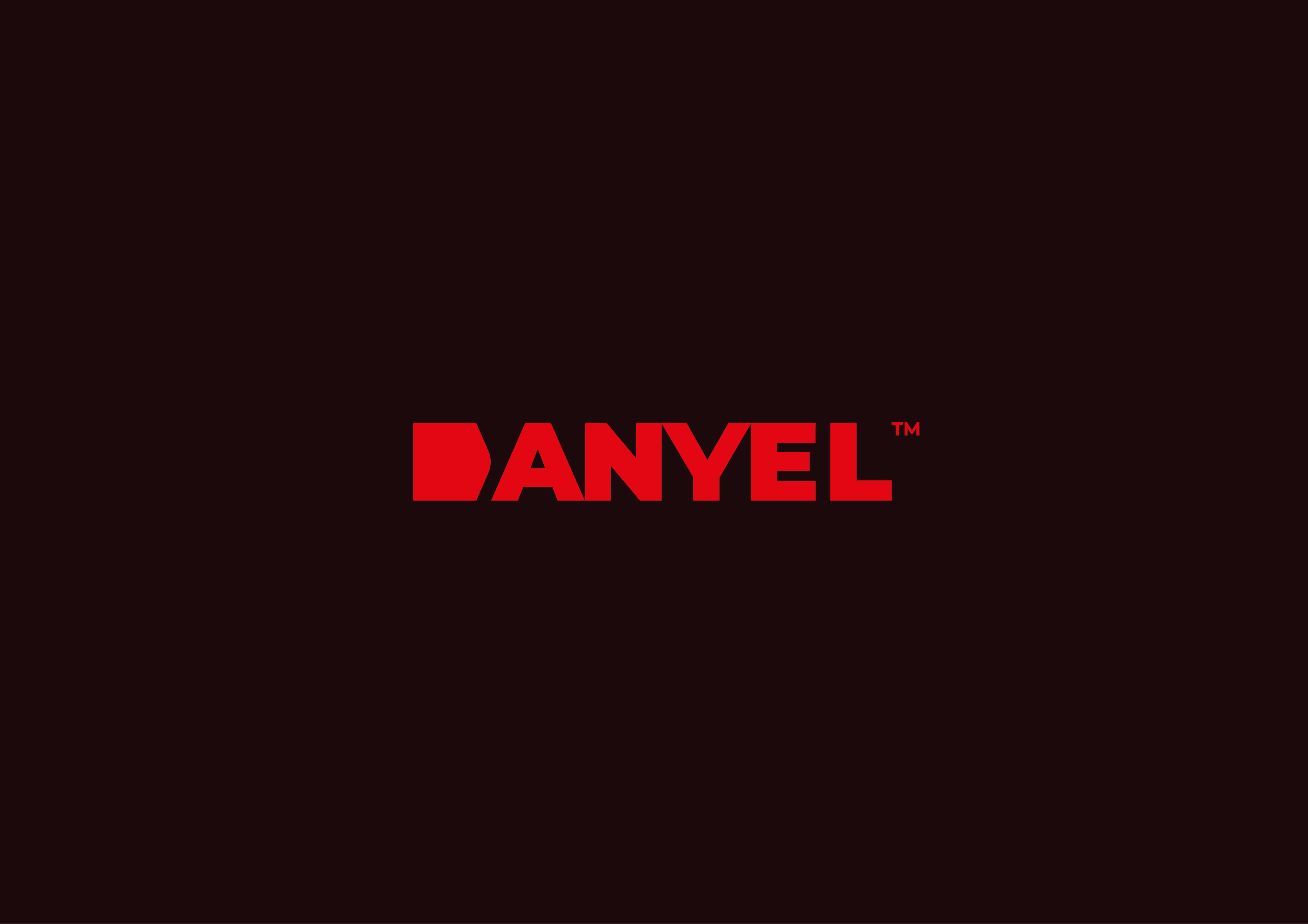 Danyel — Изображение №2 — Брендинг на Dprofile