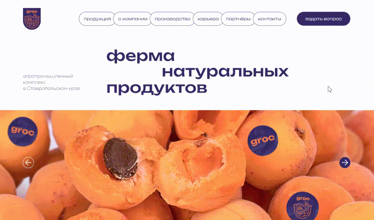Корпоративный многостраничный сайт агрохолдинга GROC — Изображение №8 — Интерфейсы, Брендинг на Dprofile