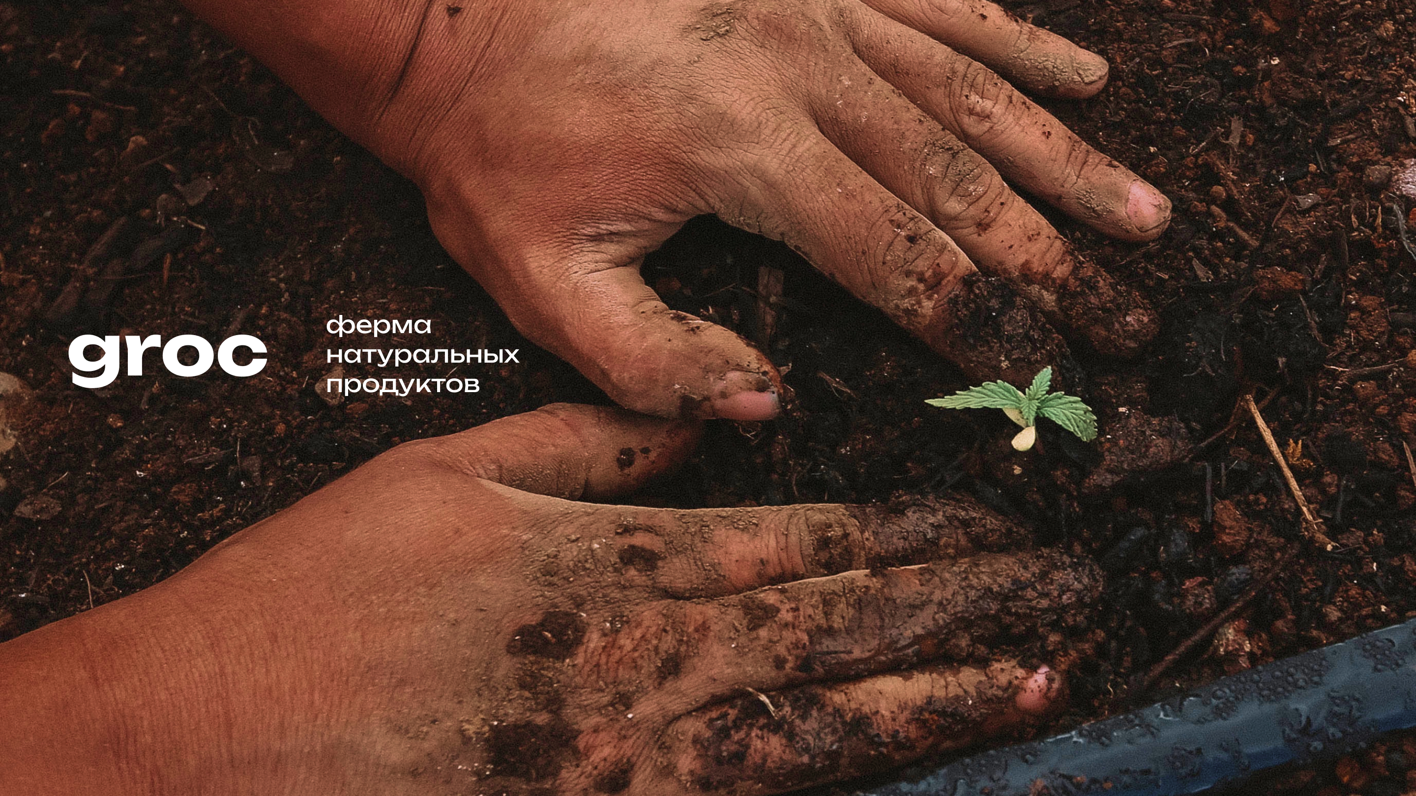 Логотип для агропромышленного комплекса Groc — Изображение №1 — Брендинг, Графика на Dprofile