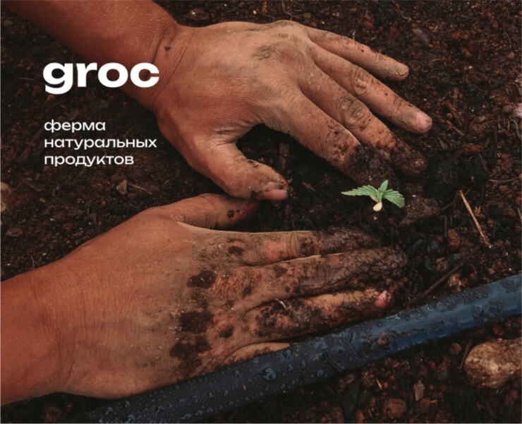 Логотип для агропромышленного комплекса Groc — Брендинг, Графика на Dprofile