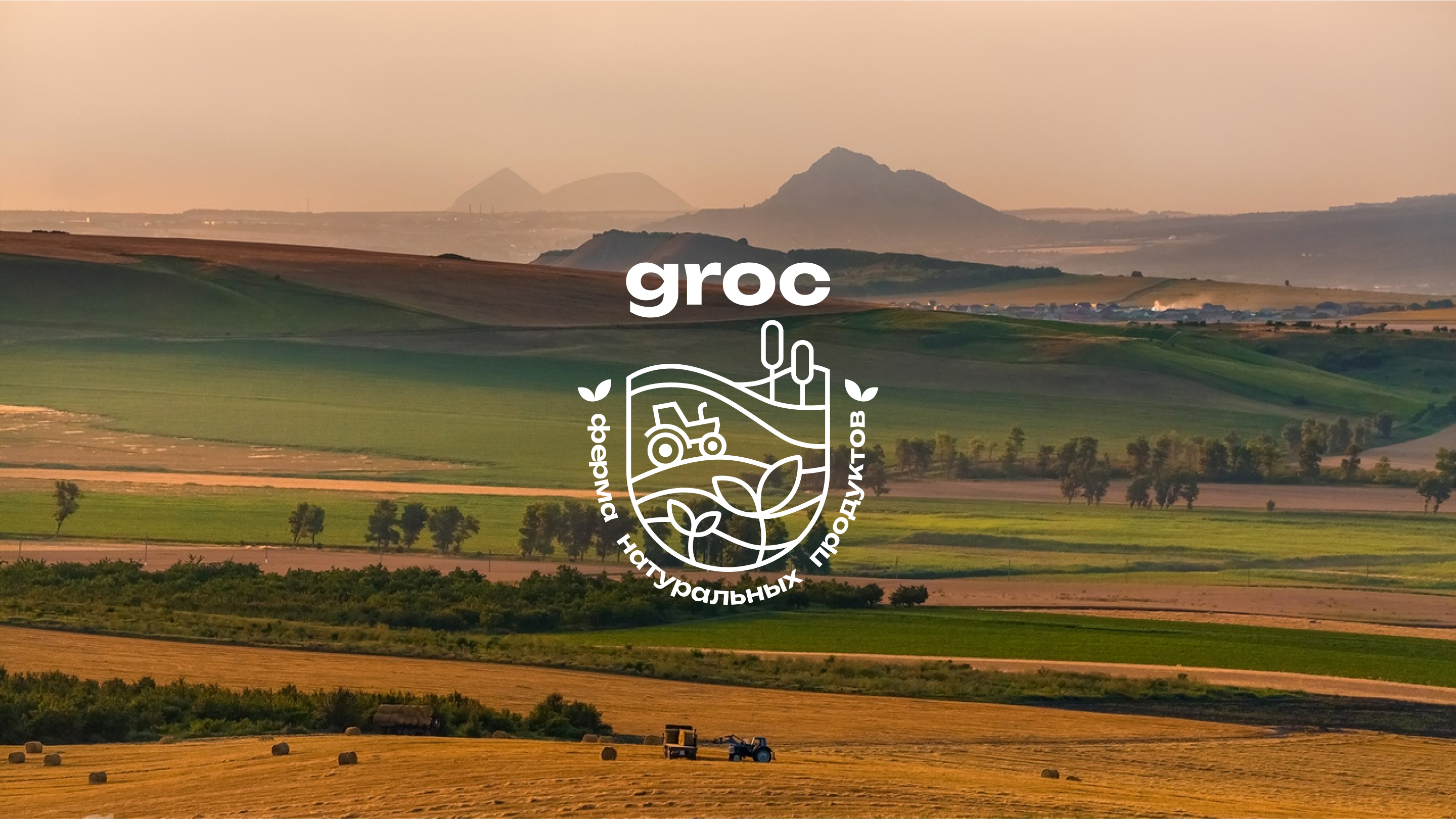 Логотип для агропромышленного комплекса Groc — Изображение №3 — Брендинг, Графика на Dprofile