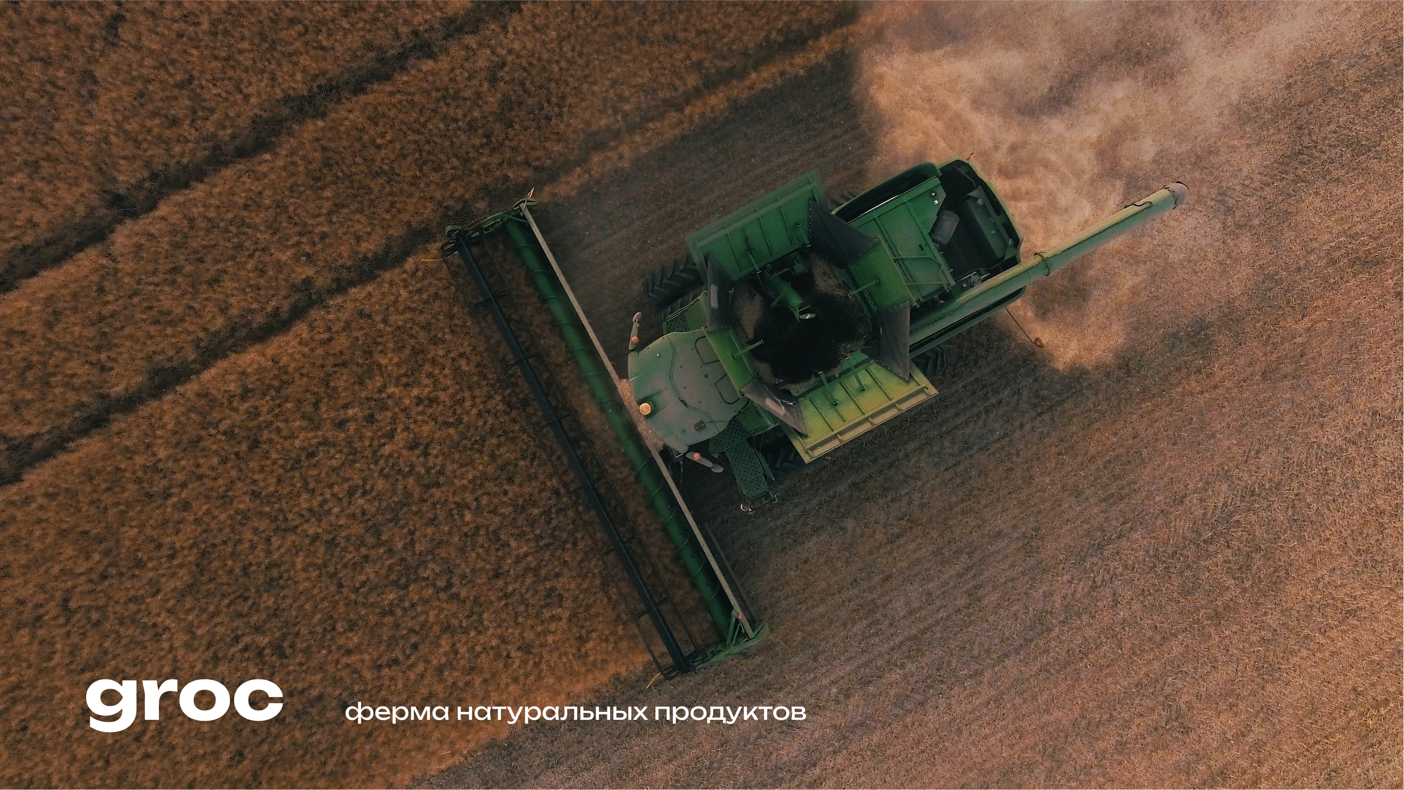 Логотип для агропромышленного комплекса Groc — Изображение №14 — Брендинг, Графика на Dprofile