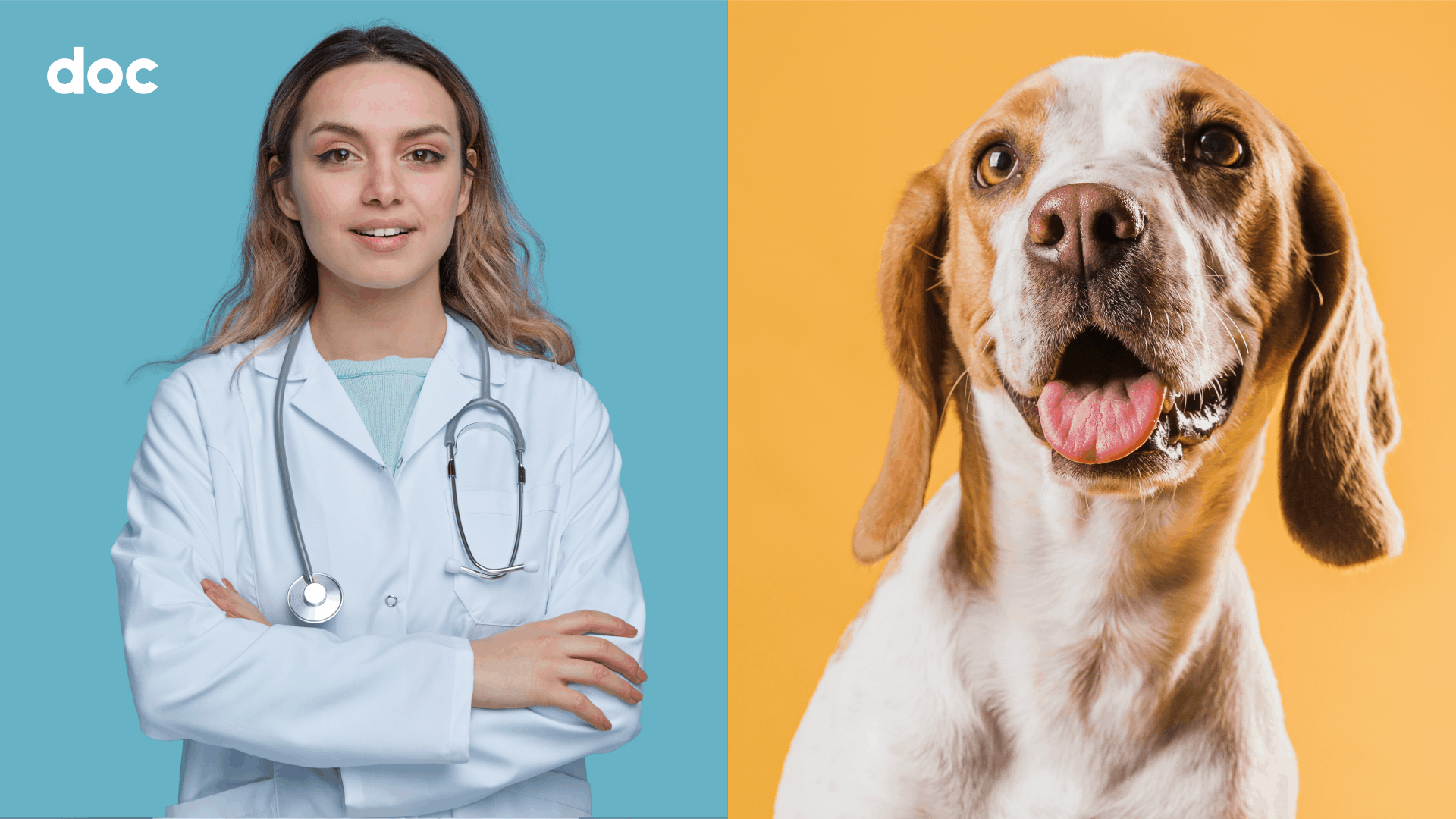 Логотип для ветеринарной клиники Docdog — Изображение №2 — Брендинг, Иллюстрация на Dprofile