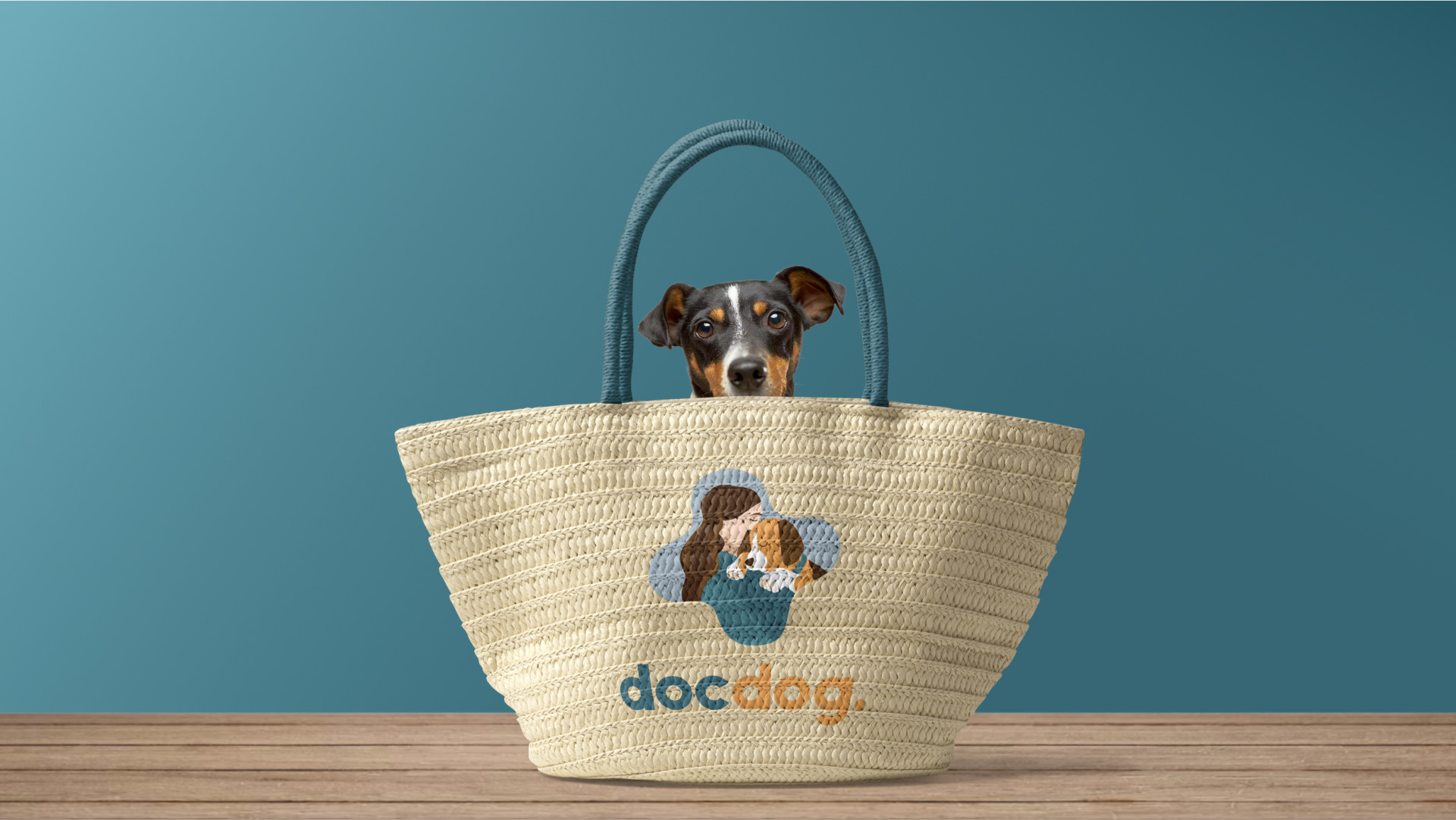 Логотип для ветеринарной клиники Docdog — Изображение №12 — Брендинг, Иллюстрация на Dprofile