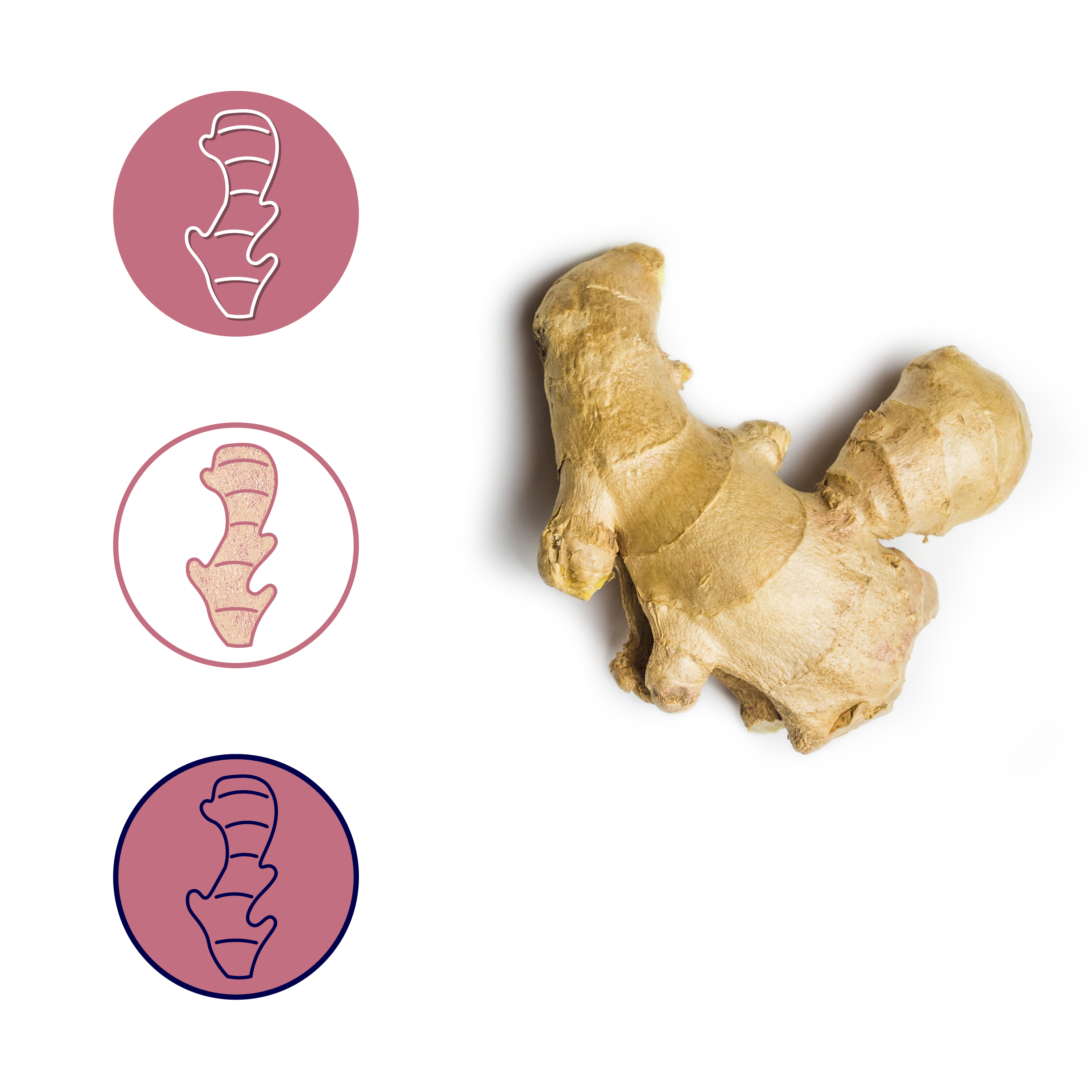 Simple icons for spices and herbs. — Изображение №4 — Брендинг, Иллюстрация на Dprofile