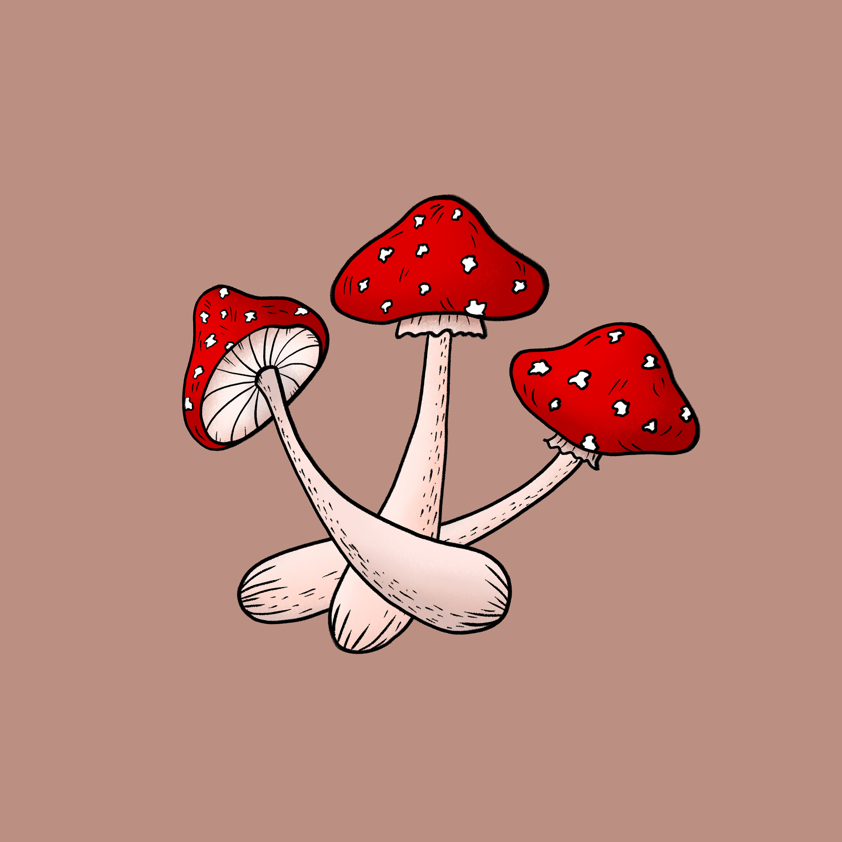 Bright hand drawn mushrooms — Изображение №1 — Иллюстрация, Графика на Dprofile