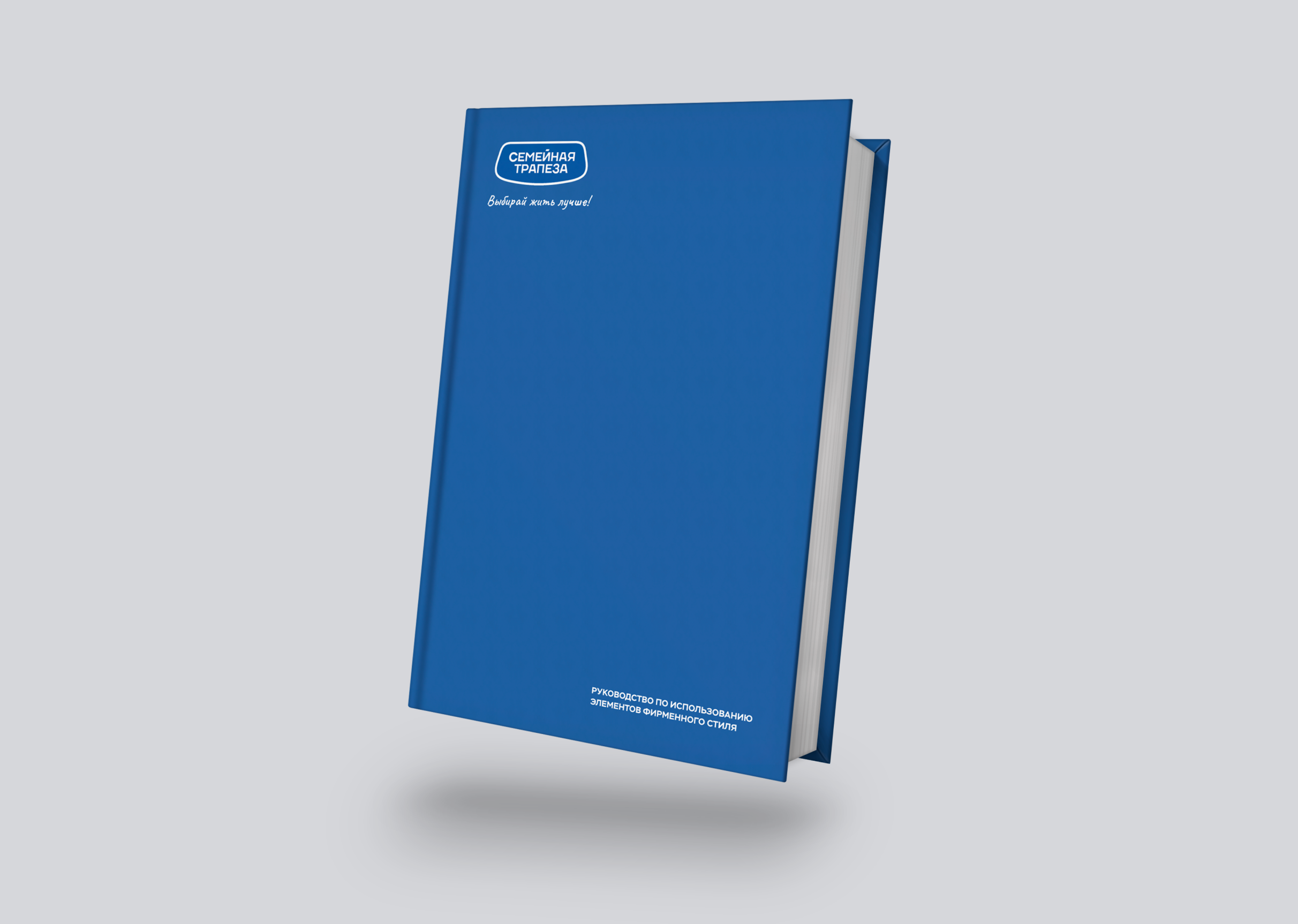 Brand Identity | BRANDBOOK | Брендбук — Изображение №3 — Брендинг, Графика на Dprofile