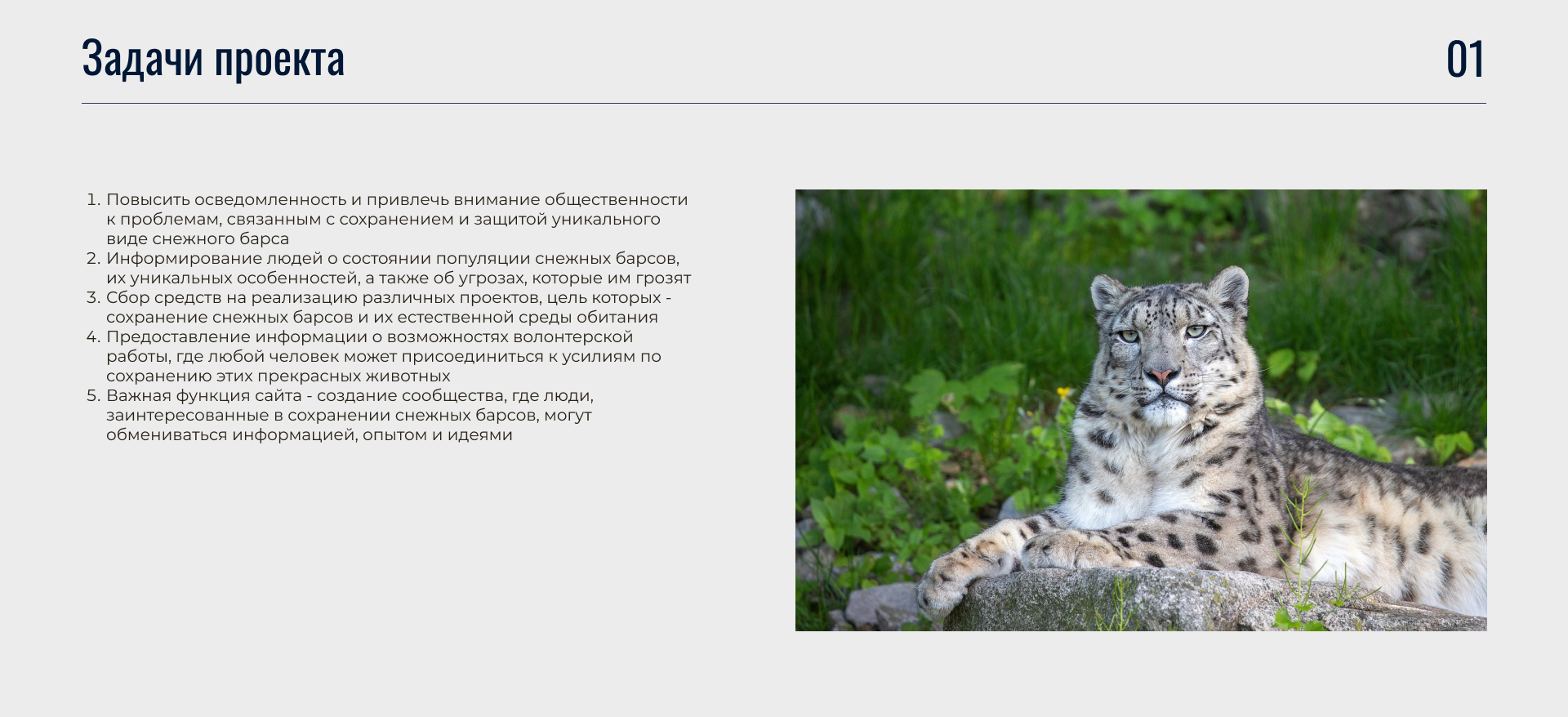 Фонд помощи снежным барсам (социальный проект) — Изображение №2 — Интерфейсы, Иллюстрация на Dprofile