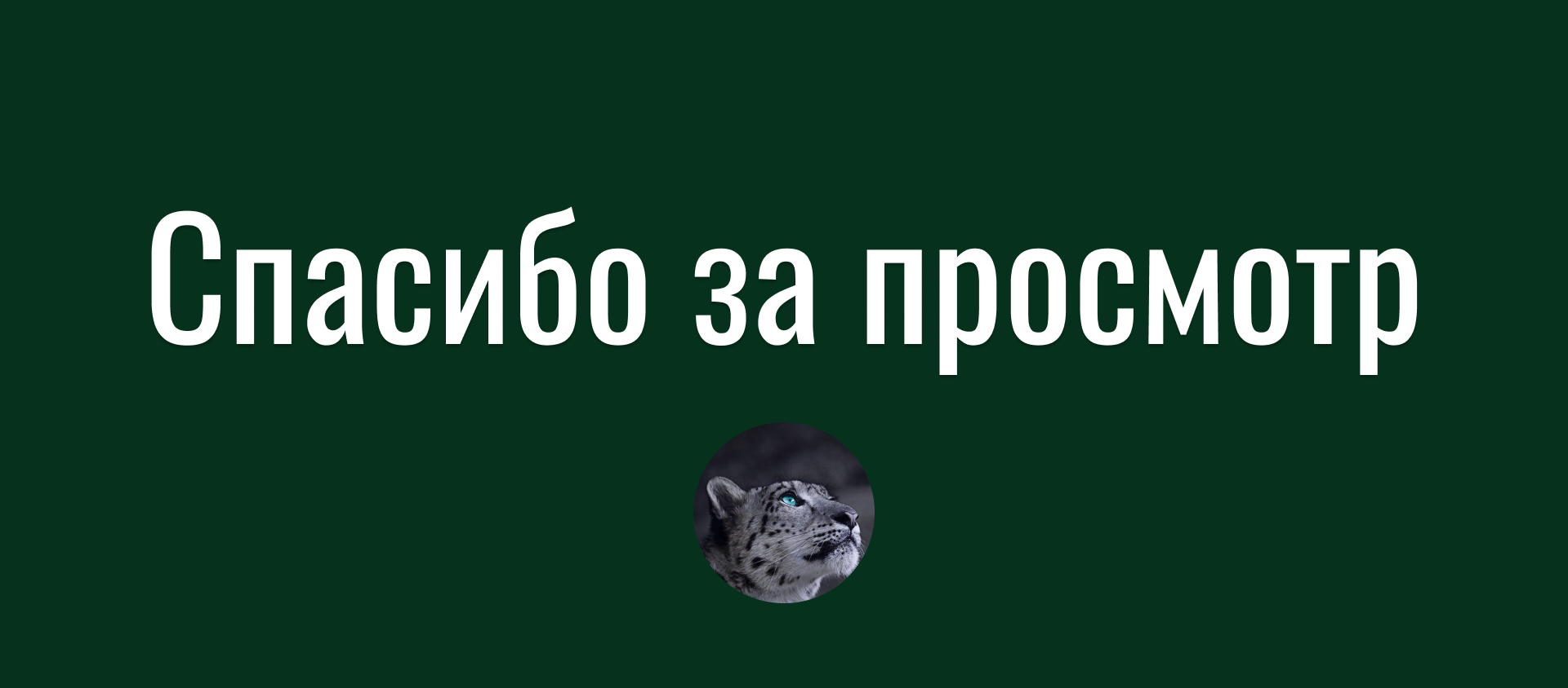 Фонд помощи снежным барсам (социальный проект) — Изображение №10 — Интерфейсы, Иллюстрация на Dprofile