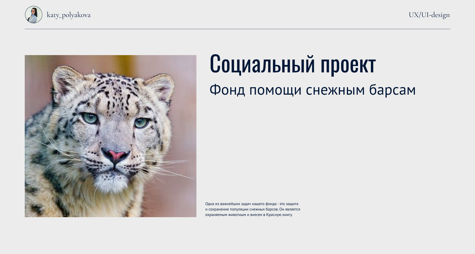 Фонд помощи снежным барсам (социальный проект) — Изображение №1 — Интерфейсы, Иллюстрация на Dprofile