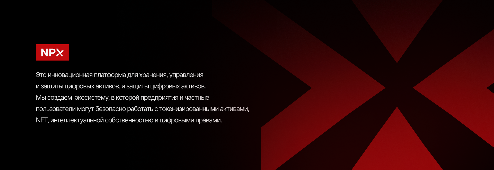 NPX Branding — Изображение №2 — Брендинг на Dprofile