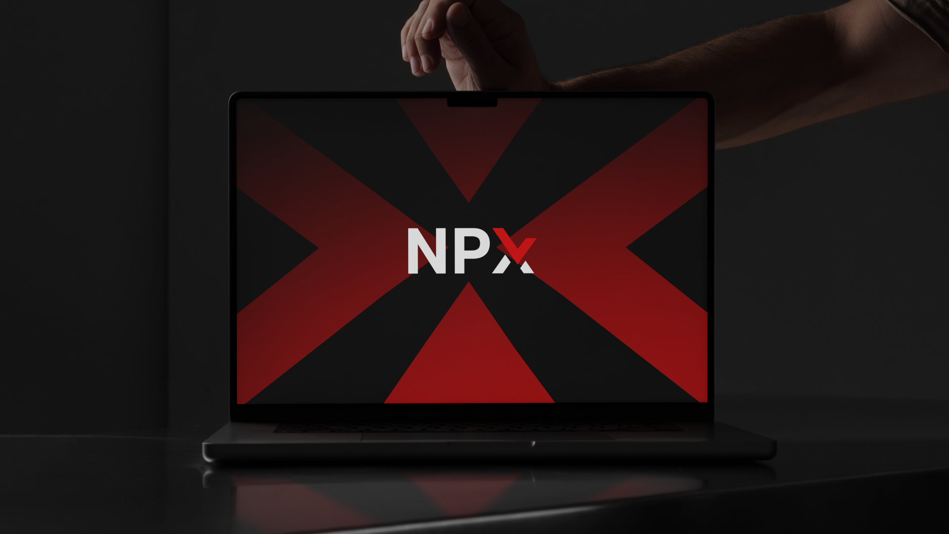 NPX Branding — Изображение №35 — Брендинг на Dprofile