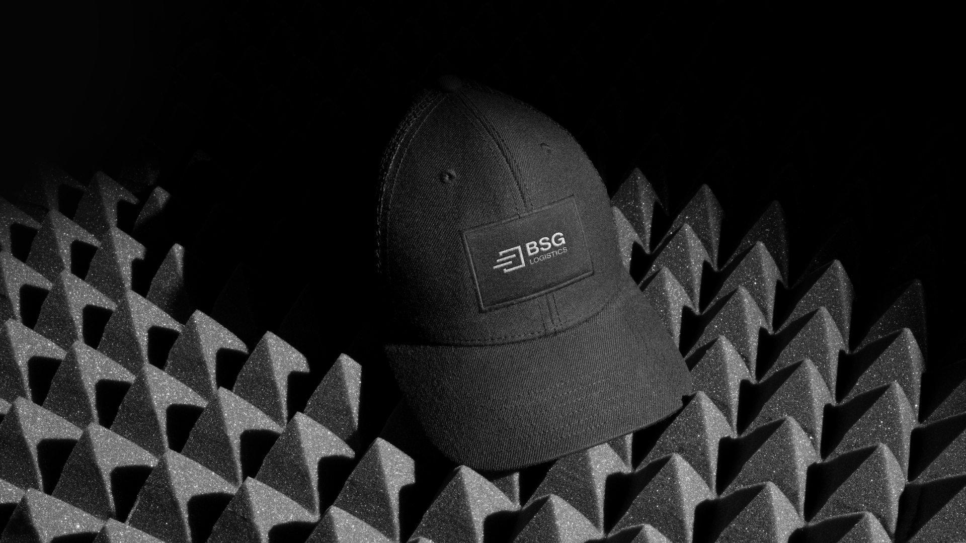 BSG Logistics — Изображение №25 — Брендинг, Графика на Dprofile
