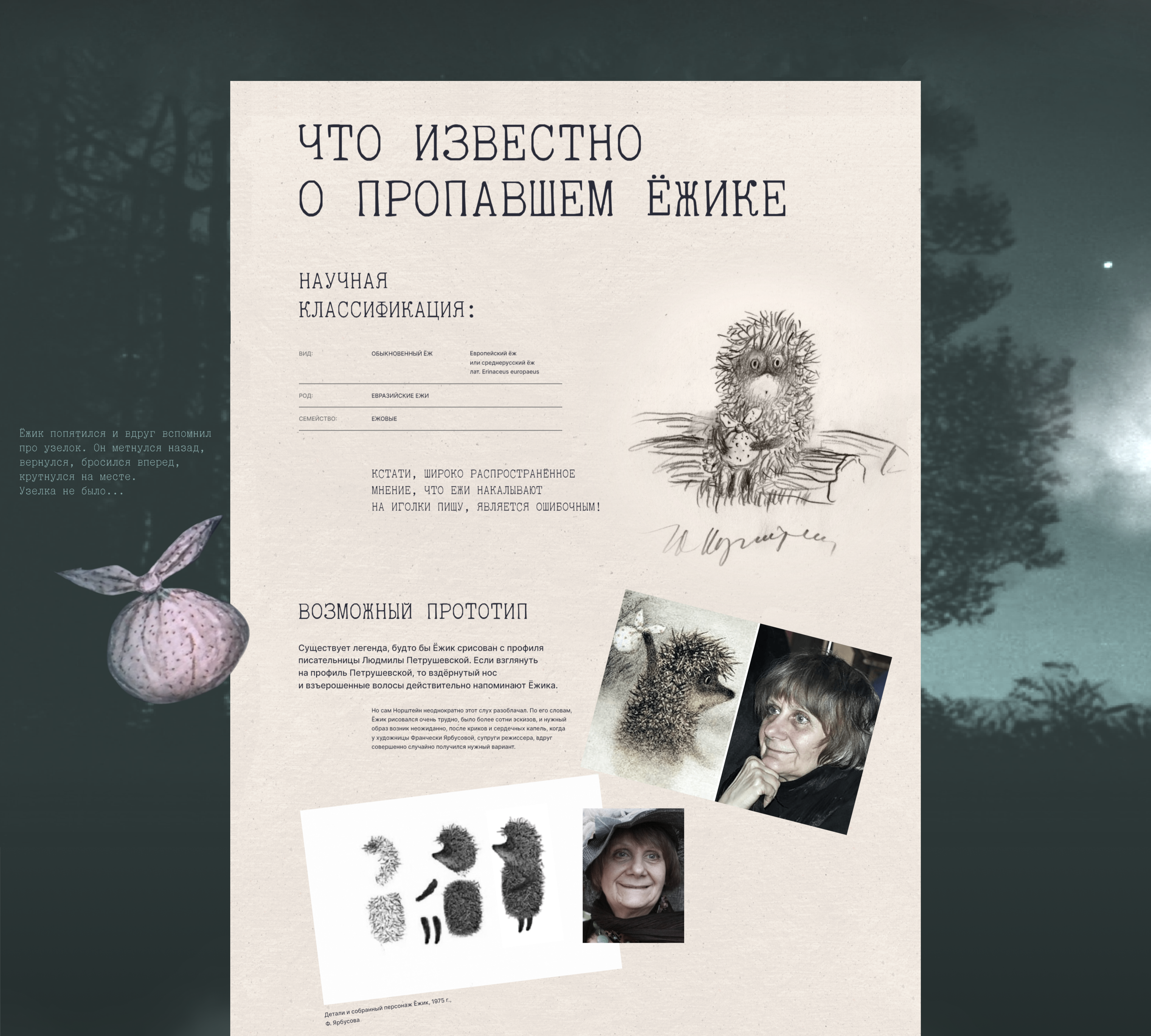 Интерактивный лонгрид  «Ёжик в тумане» — Изображение №17 — Интерфейсы на Dprofile