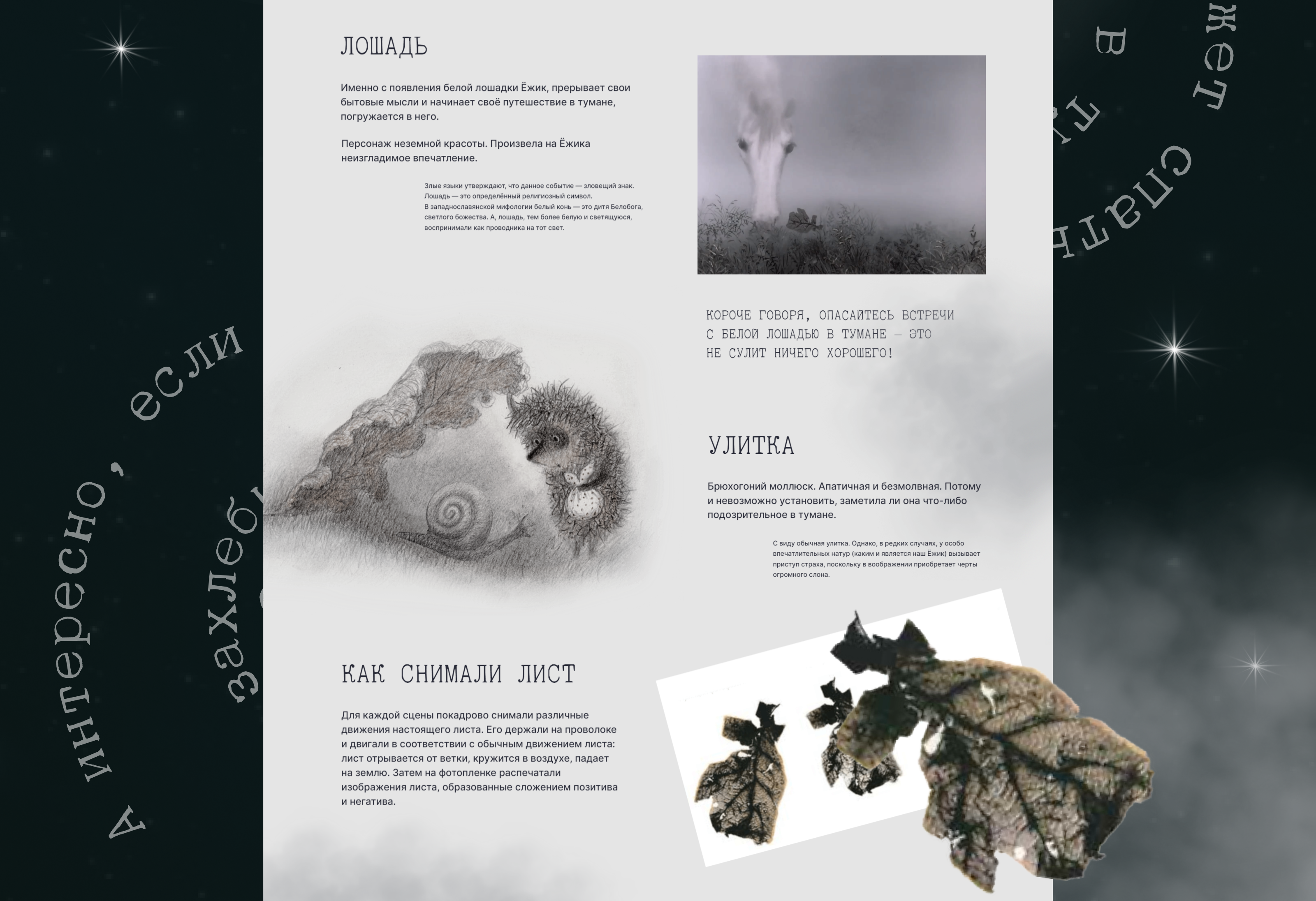 Интерактивный лонгрид  «Ёжик в тумане» — Изображение №22 — Интерфейсы на Dprofile