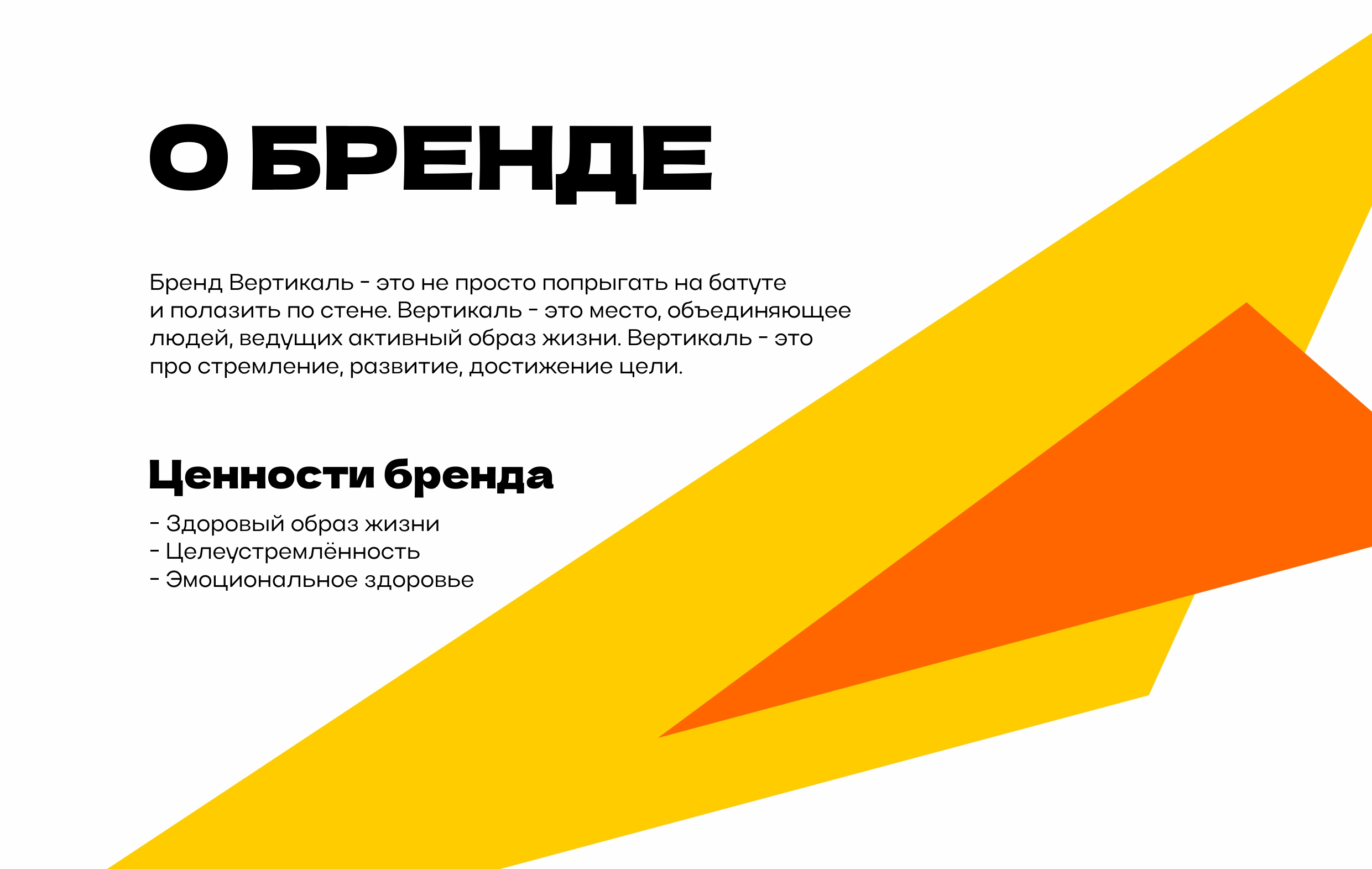 Брендбук для спортивно-досугового центра Вертикаль — Изображение №2 — Брендинг на Dprofile
