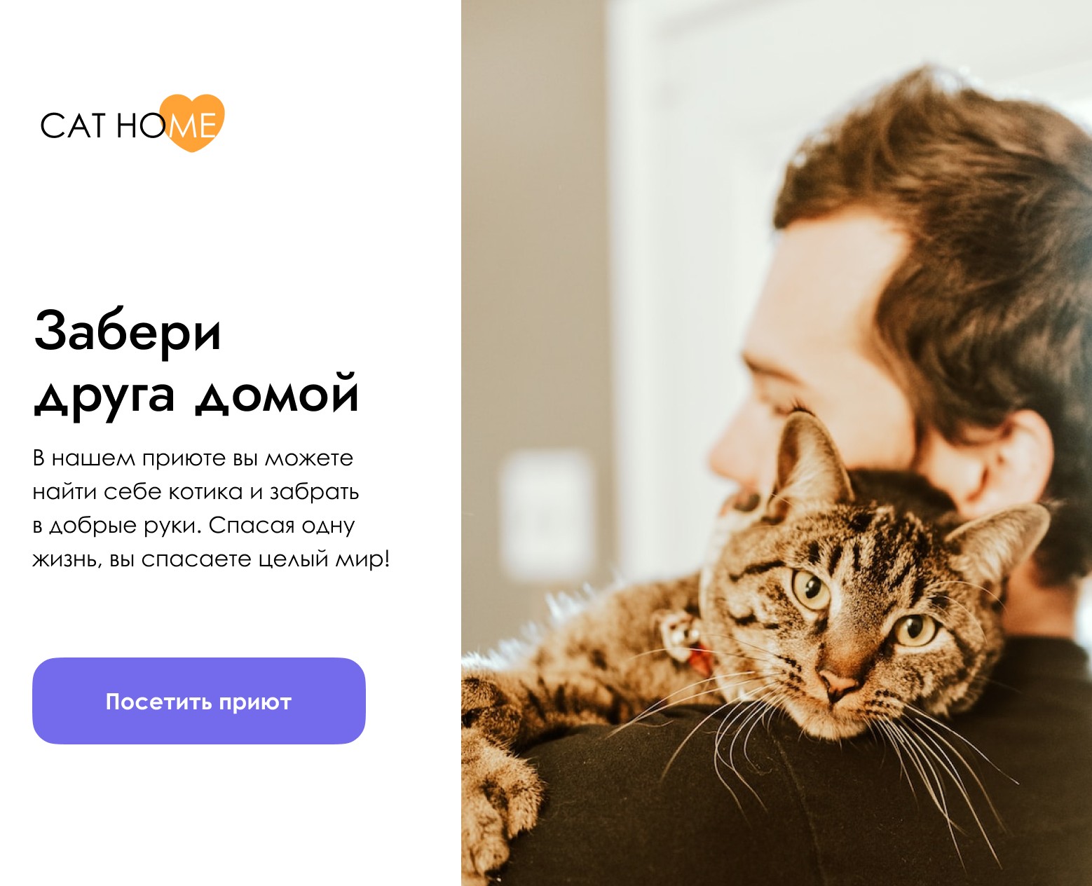 Лэндинг приюта Cat's home на Dprofile