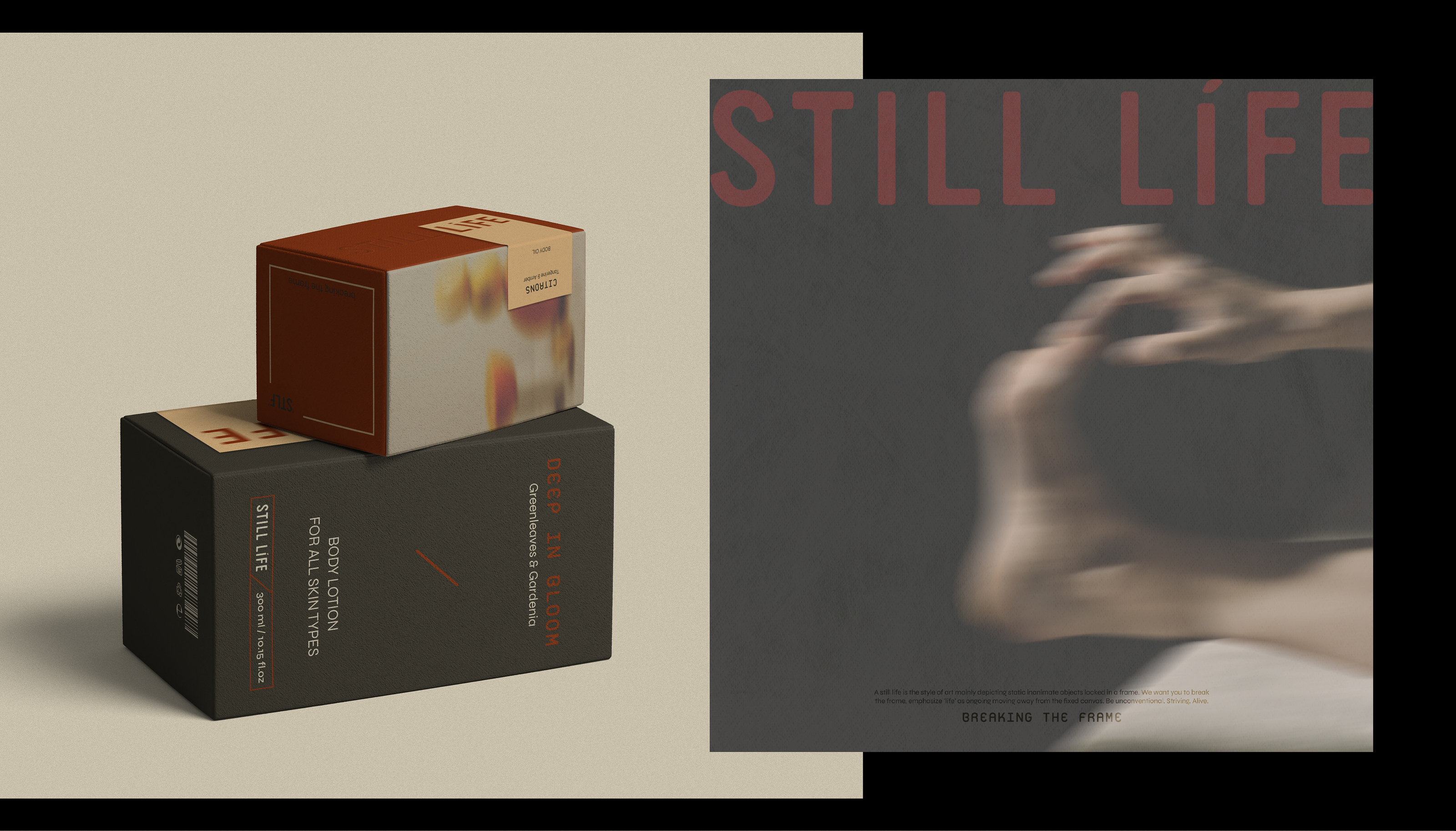 STILL LIFE / visual identity & packaging — Изображение №17 — Брендинг, Графика на Dprofile