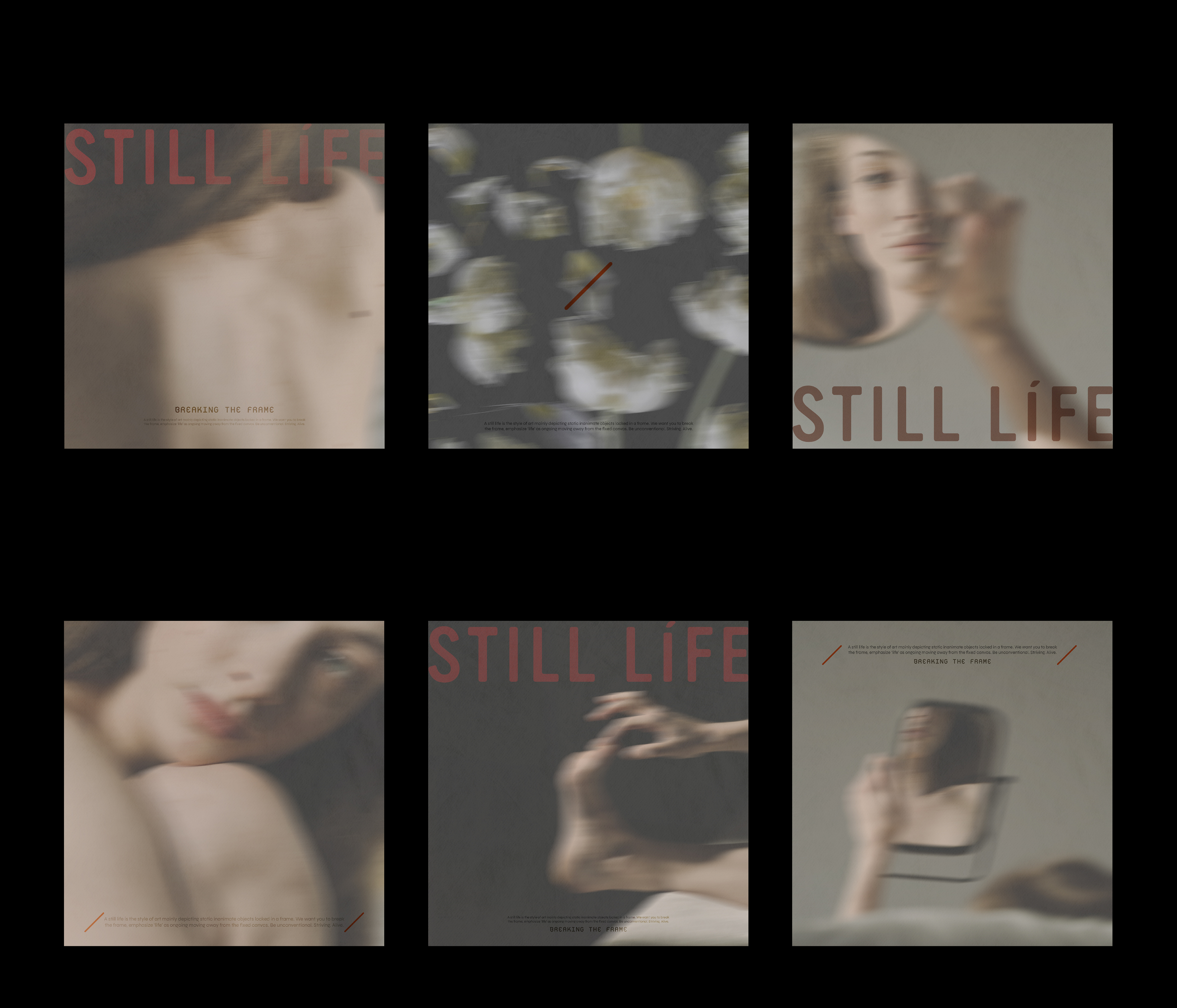 STILL LIFE / visual identity & packaging — Изображение №20 — Брендинг, Графика на Dprofile
