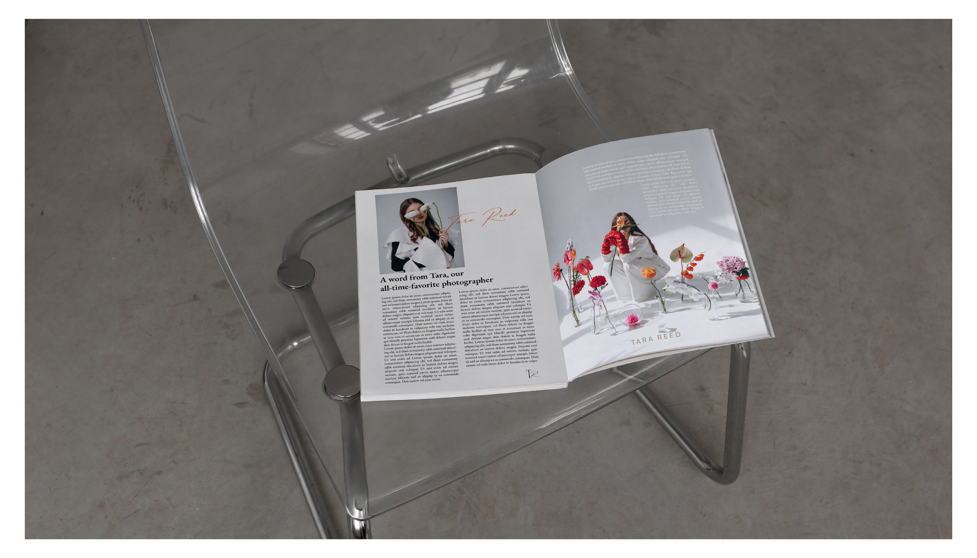 Tara Reed / identity for a photographer — Изображение №9 — Брендинг, Графика на Dprofile