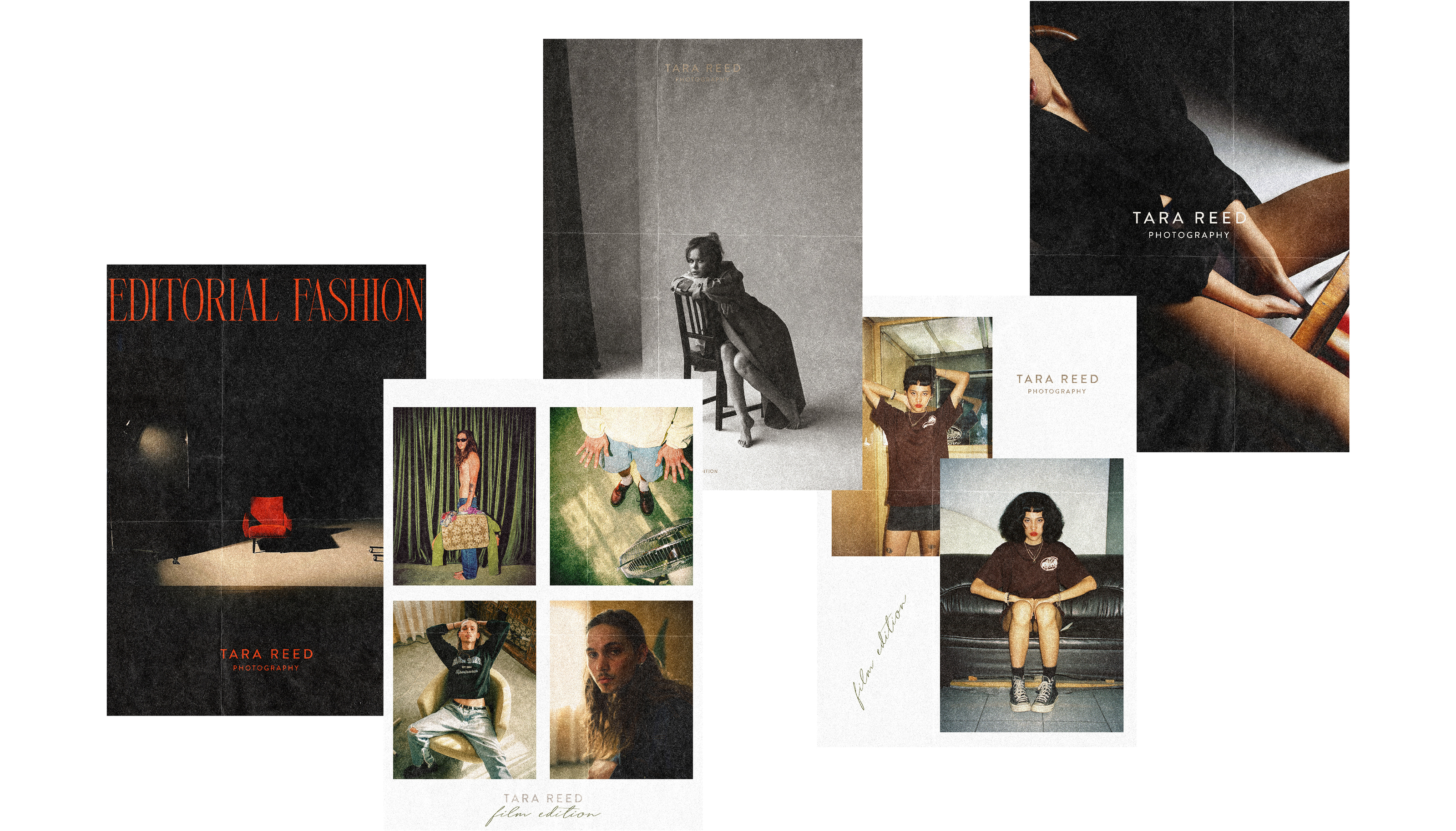 Tara Reed / identity for a photographer — Изображение №15 — Брендинг, Графика на Dprofile