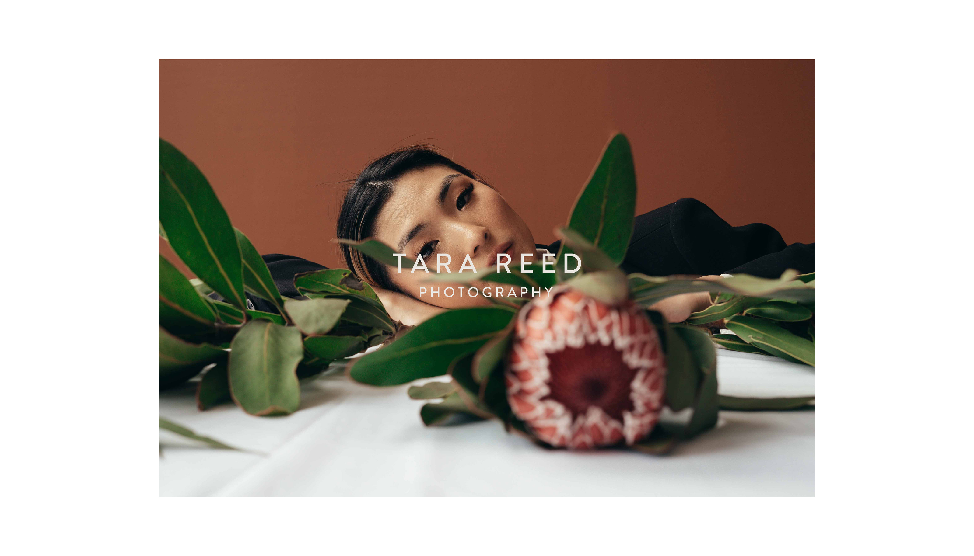 Tara Reed / identity for a photographer — Изображение №1 — Брендинг, Графика на Dprofile