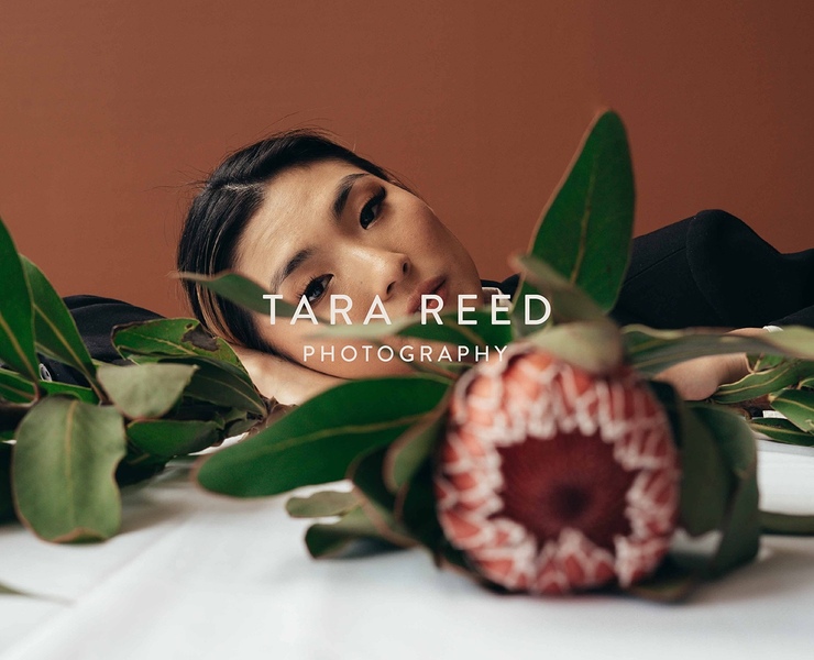 Tara Reed / identity for a photographer — Брендинг, Графика на Dprofile