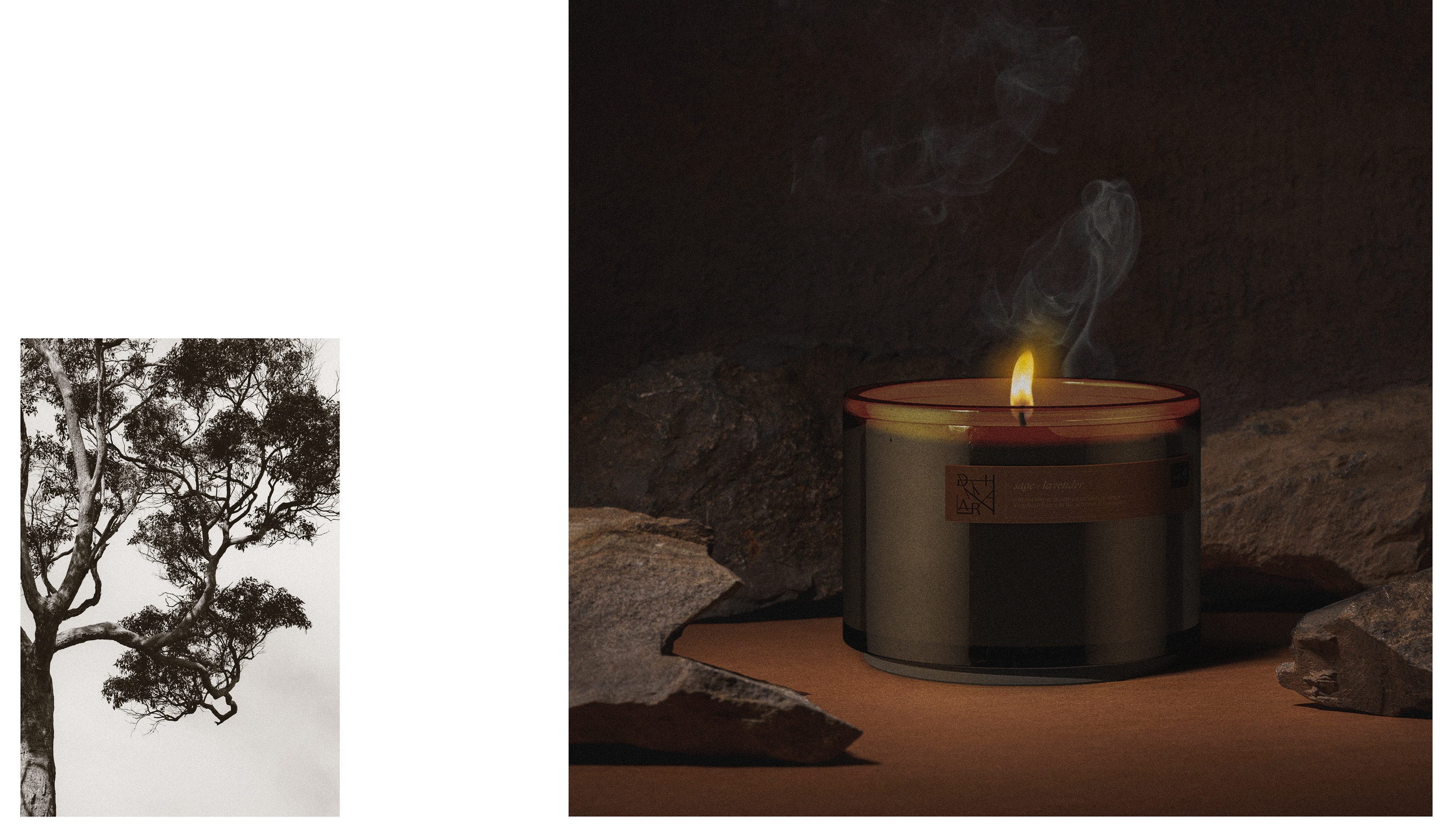 DHARMA / visual identity + packaging — Изображение №16 — Брендинг, Графика на Dprofile