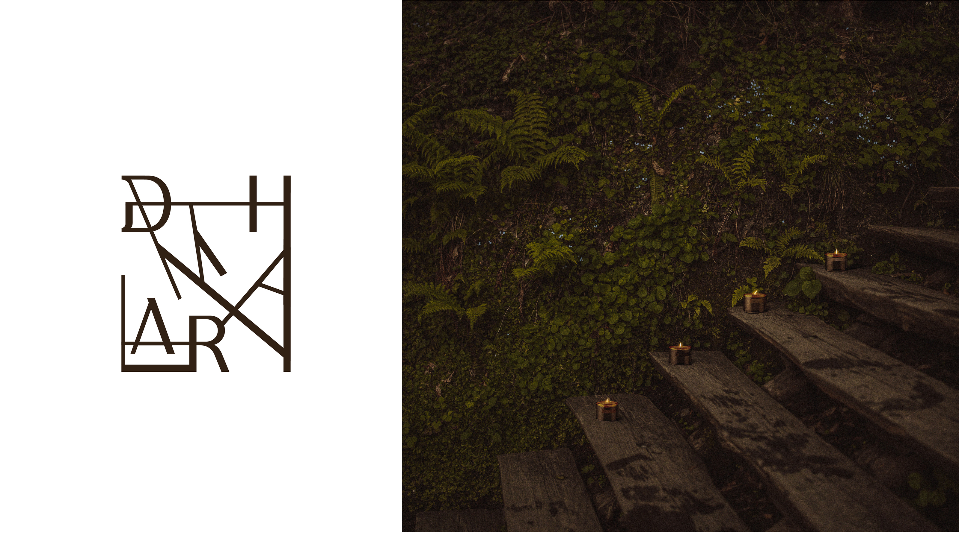 DHARMA / visual identity + packaging — Изображение №17 — Брендинг, Графика на Dprofile
