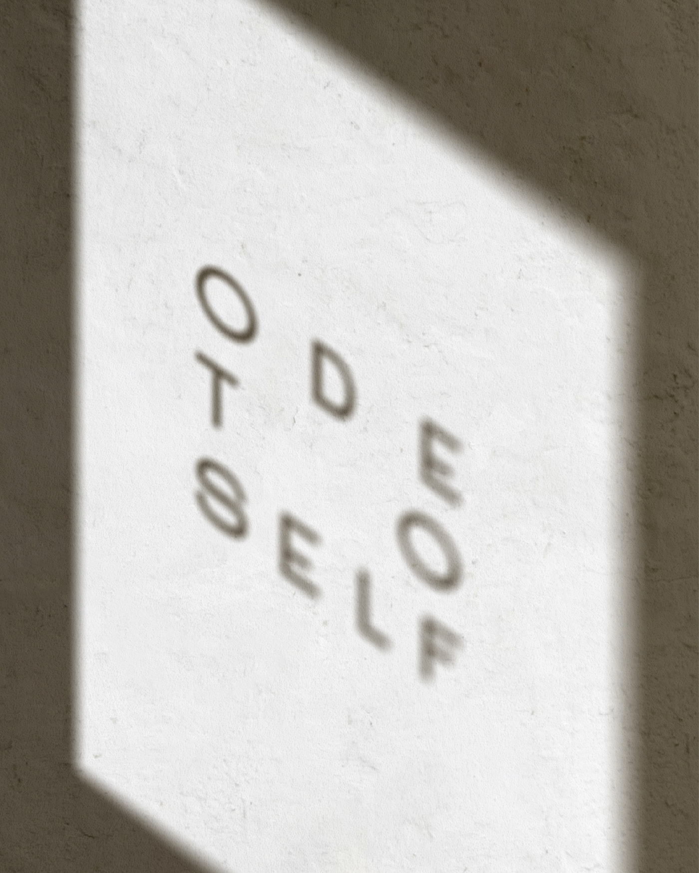 Ode to Self / branding + packaging design — Изображение №4 — Брендинг, Графика на Dprofile