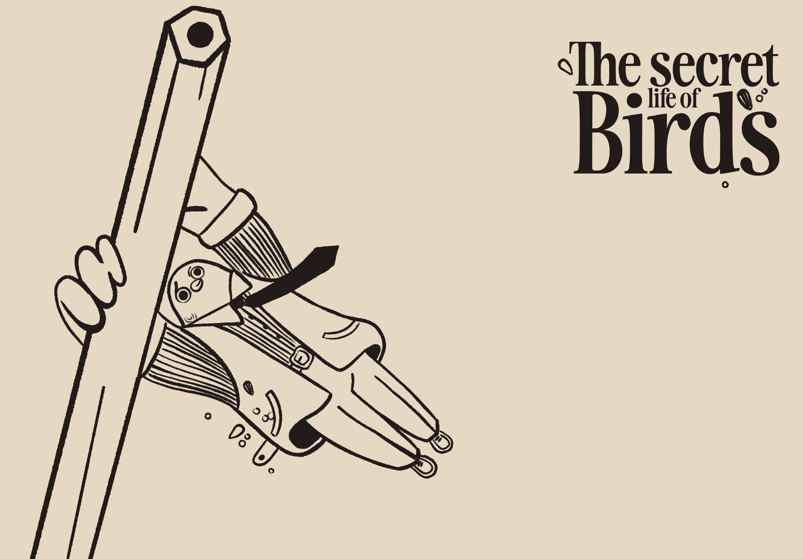 Rules of Birds — Изображение №2 — Иллюстрация на Dprofile