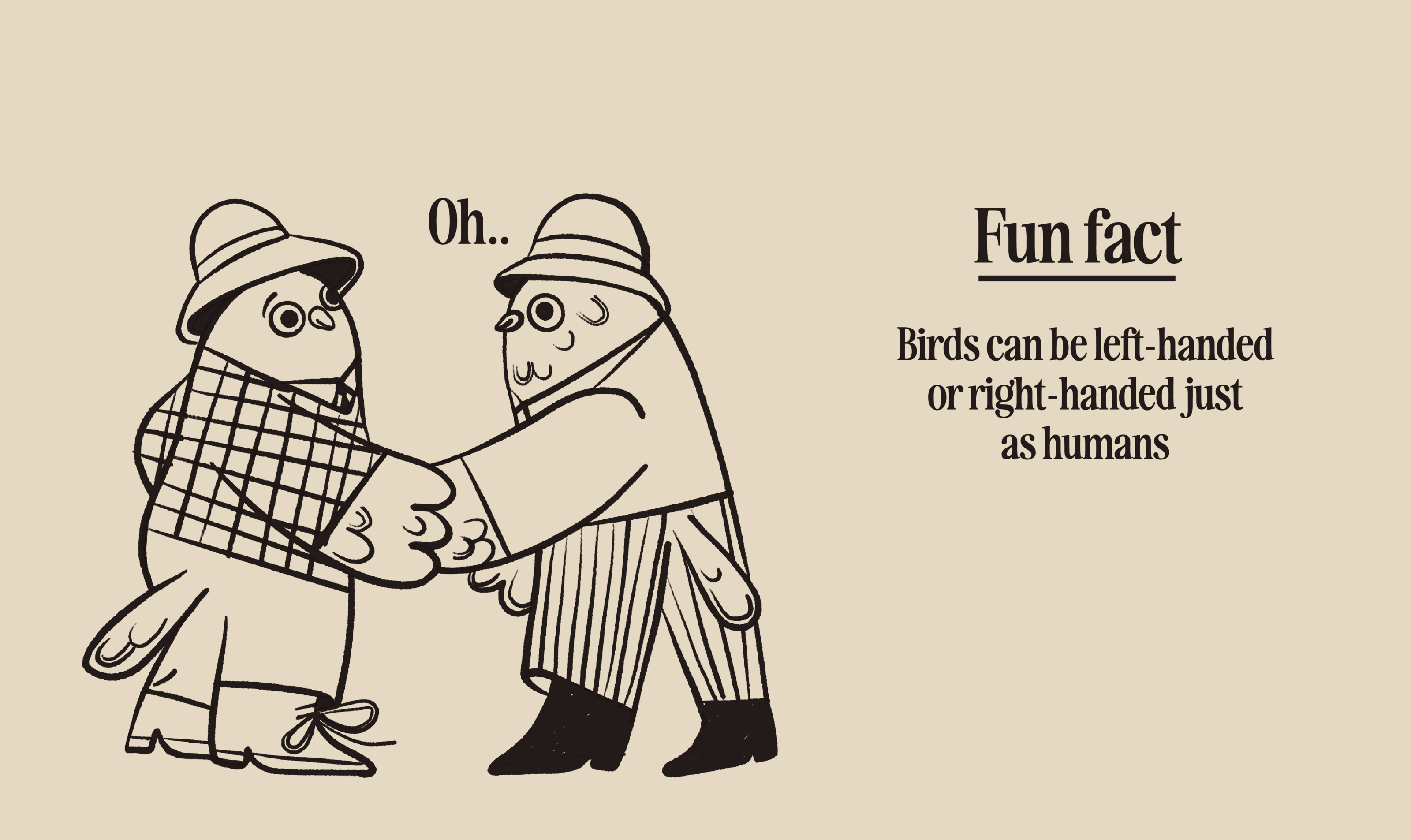 Rules of Birds — Изображение №5 — Иллюстрация на Dprofile