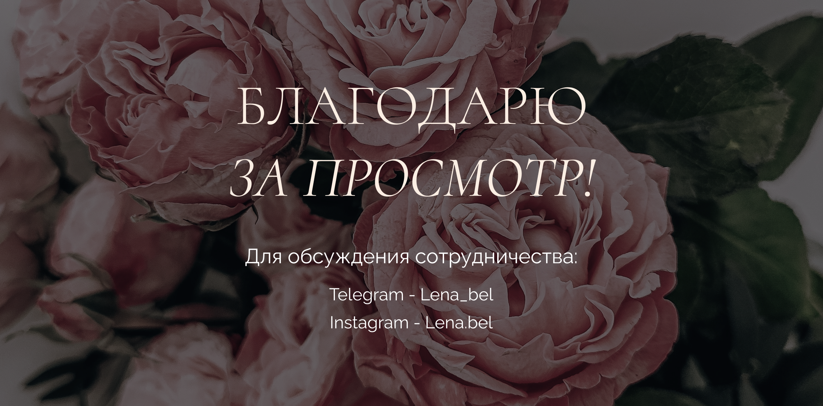 Сайт-портфолио для веб-дизайнера — Изображение №4 — Интерфейсы, Маркетинг на Dprofile