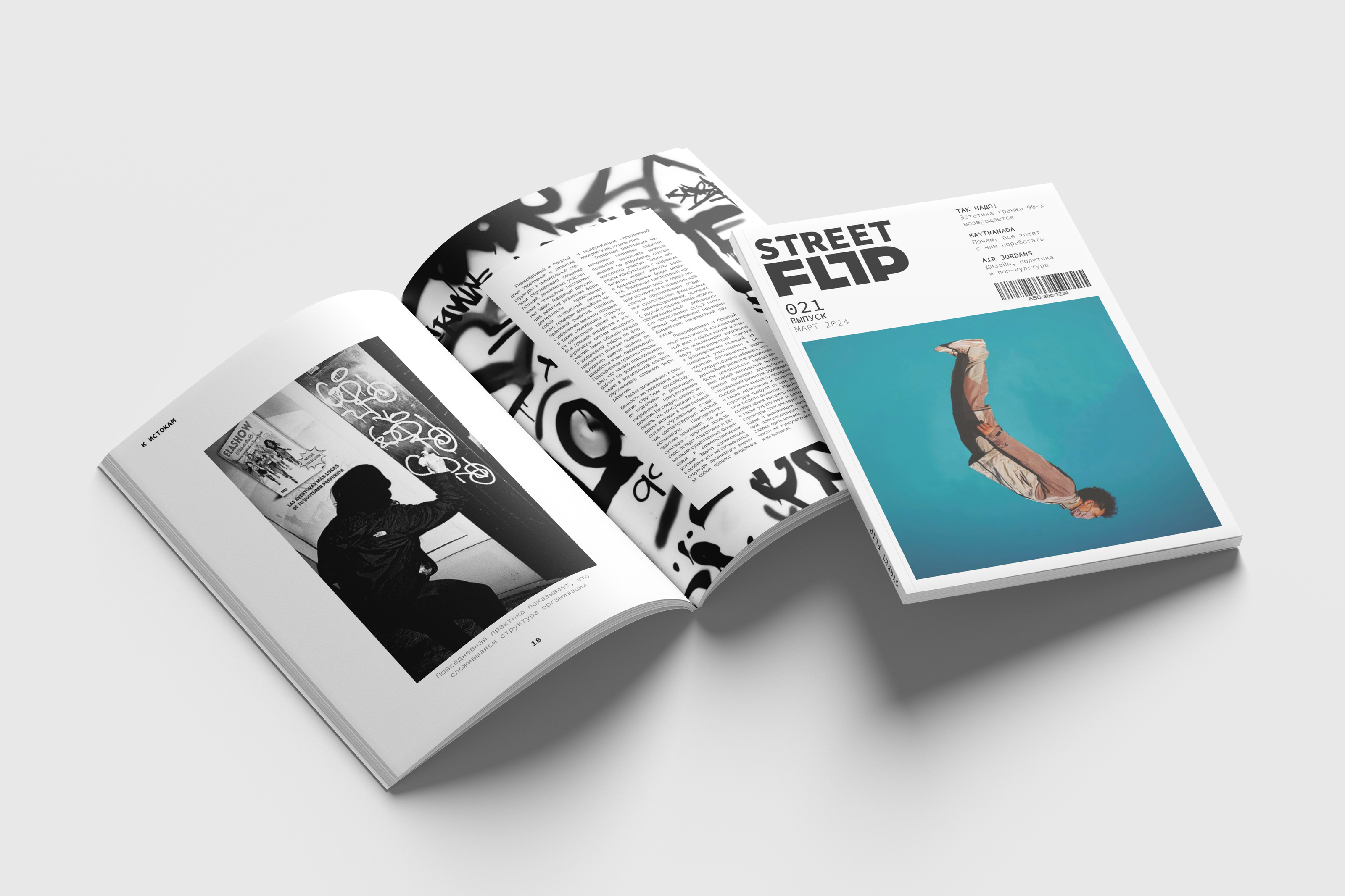 Разработка и верстка журнала уличной моды "Street Flip" — Изображение №3 — Брендинг, Графика на Dprofile