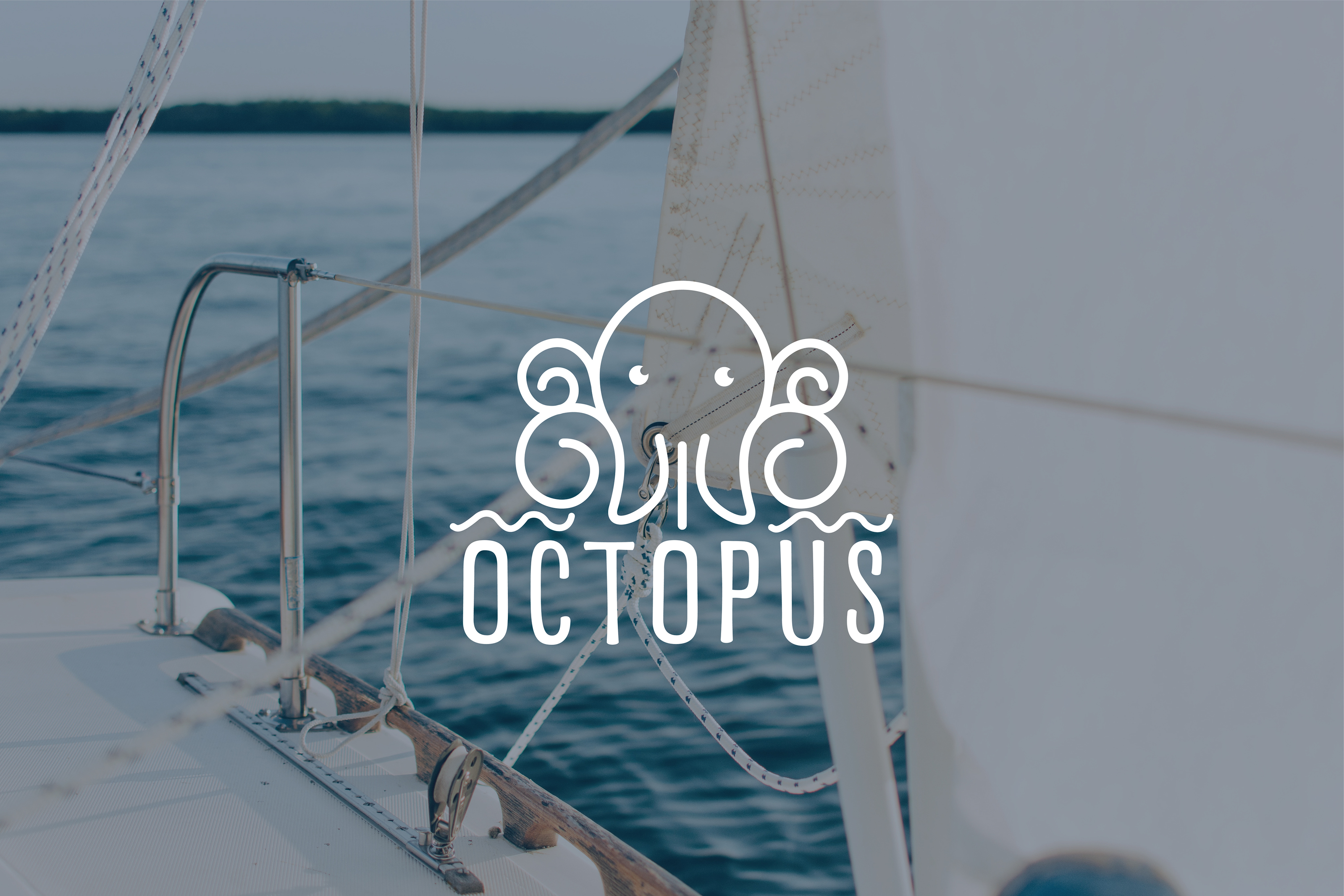 Octopus/brand identity/logo — Изображение №2 — Брендинг на Dprofile