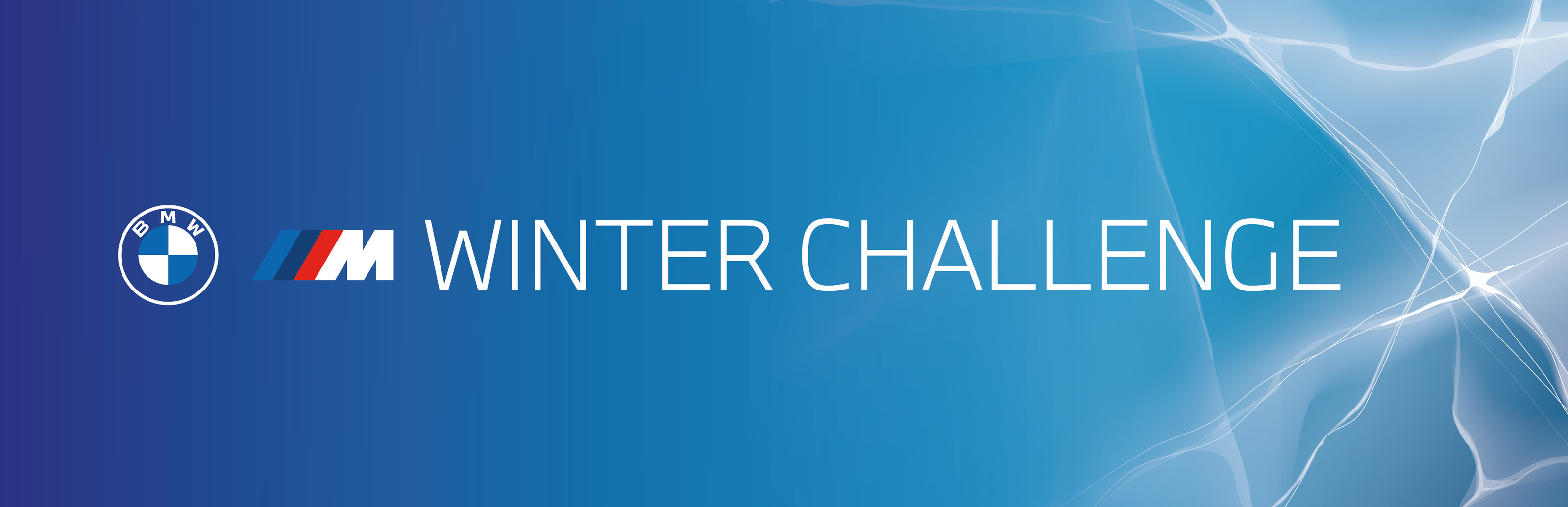 BMW WINTER CHALLENGE — Изображение №1 — Брендинг на Dprofile