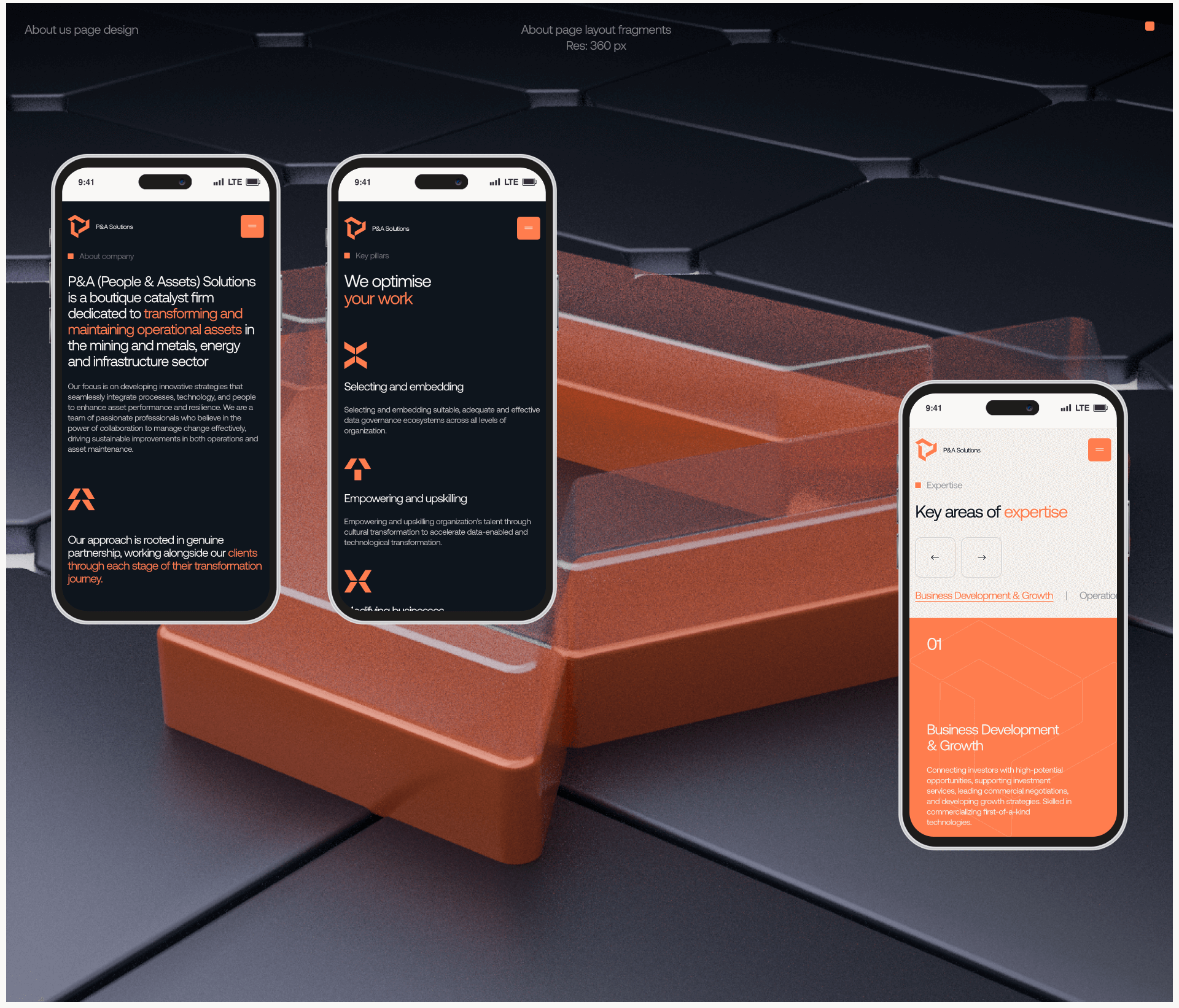 P&A Solutions| Web. & Branding — Изображение №13 — Интерфейсы, Брендинг на Dprofile