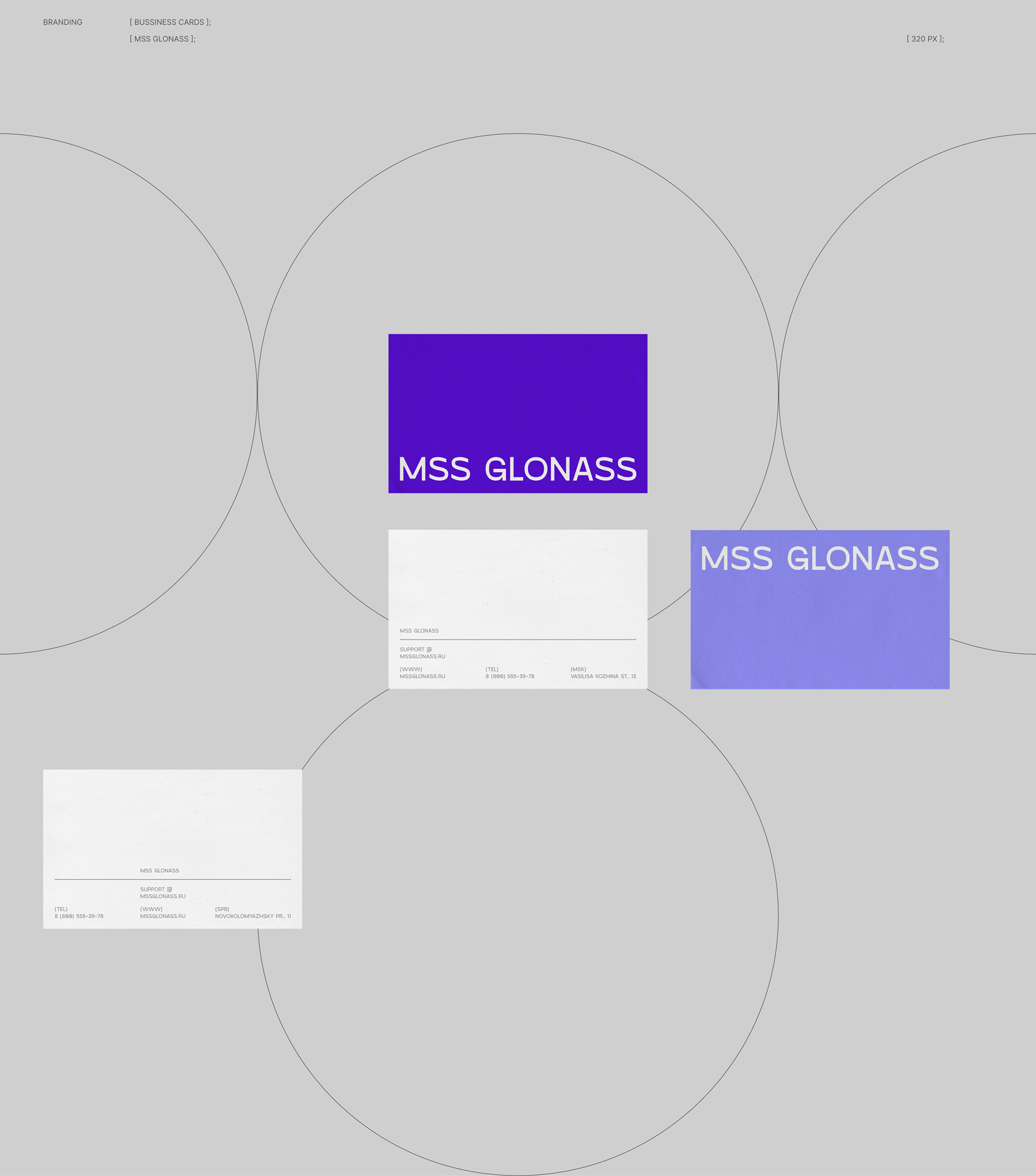 MSS GLONASS — Изображение №15 — Брендинг, Анимация, Интерфейсы на Dprofile