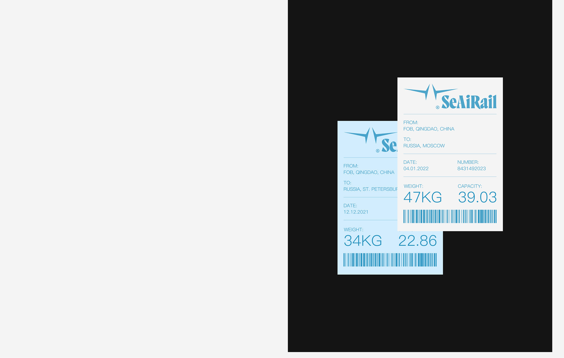 SeAiRail — Изображение №16 — Интерфейсы, Брендинг, Анимация на Dprofile