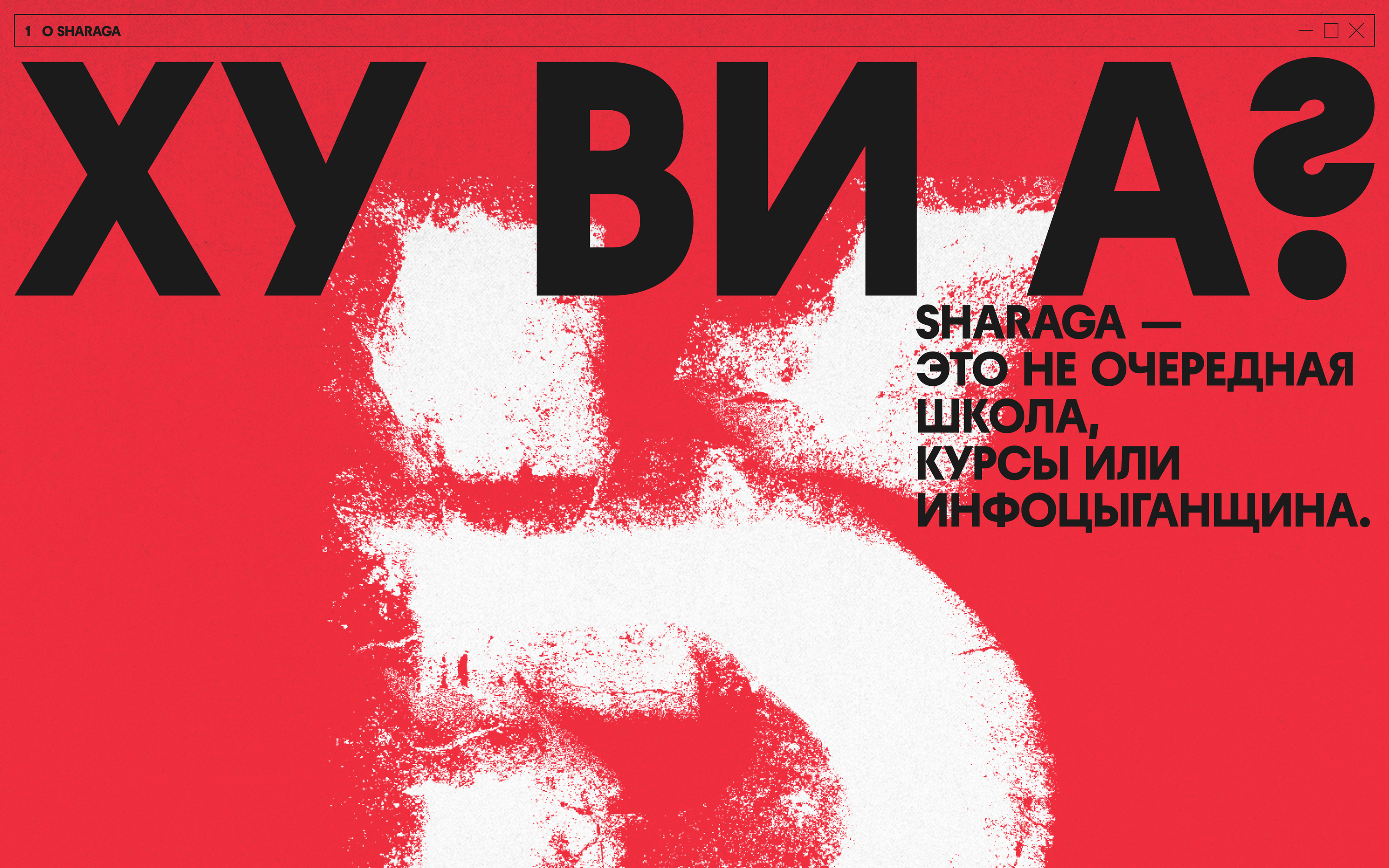 SHARAGA | web. & branding — Изображение №1 — Интерфейсы, Брендинг на Dprofile