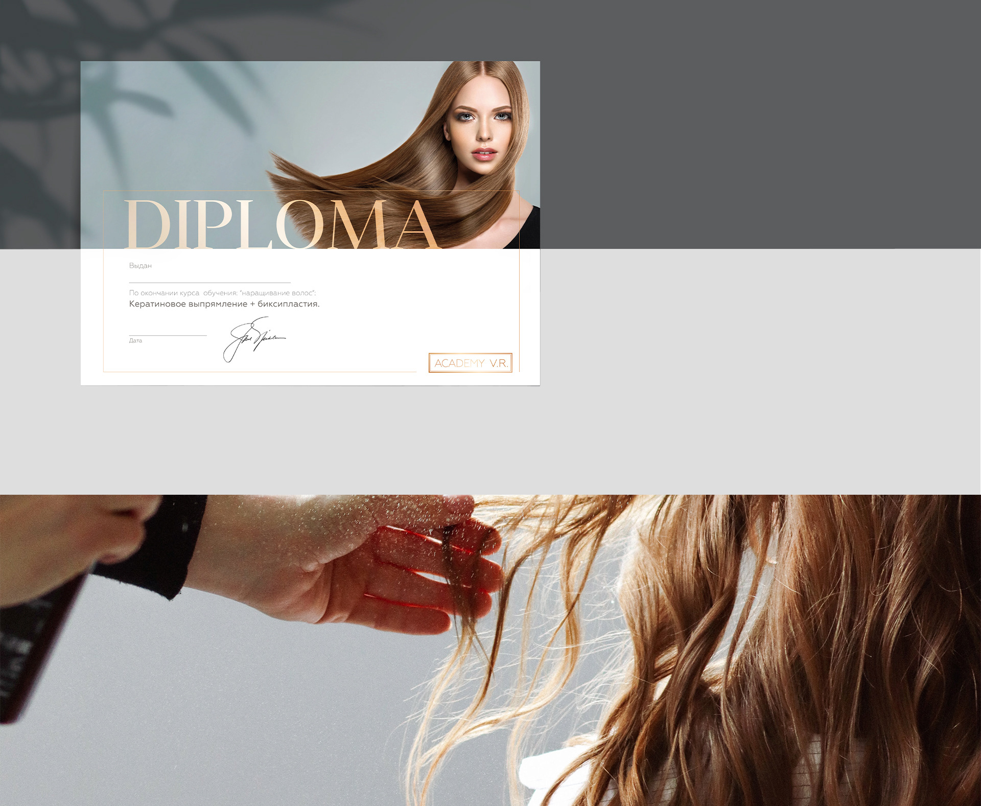 Academy Victoria Russo — Изображение №10 — Интерфейсы, Брендинг, Анимация на Dprofile