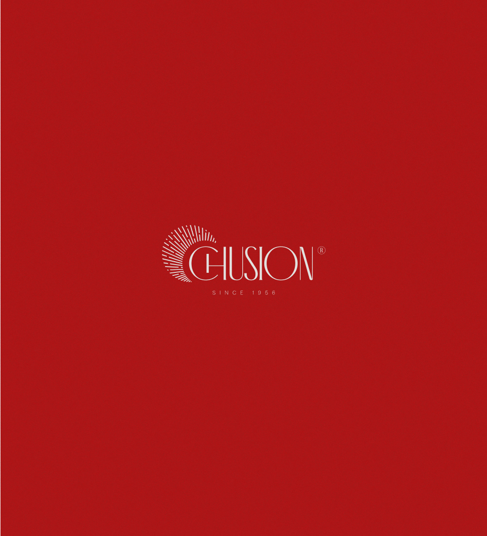 Chusion — Изображение №4 — Интерфейсы, Брендинг, Анимация на Dprofile