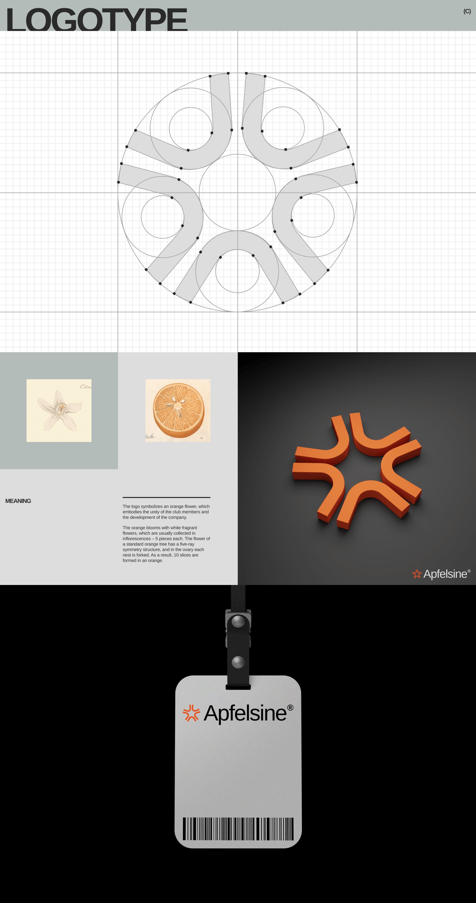 Apfelsine® — Brand Identity & Website — Изображение №3 — Интерфейсы, Брендинг на Dprofile