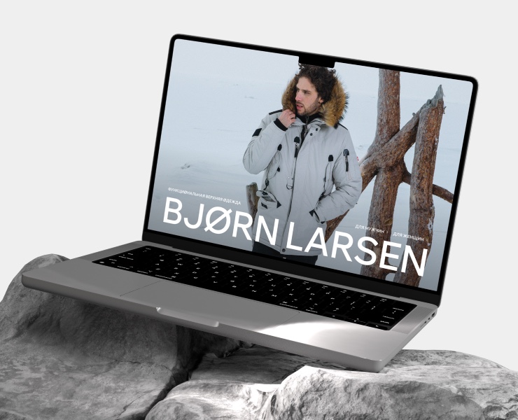 BJØRN LARSEN — Интерфейсы на Dprofile