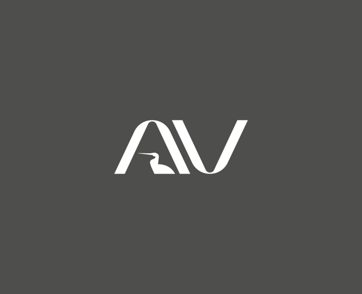Logotype "Agami Visual" — Брендинг, Графика на Dprofile