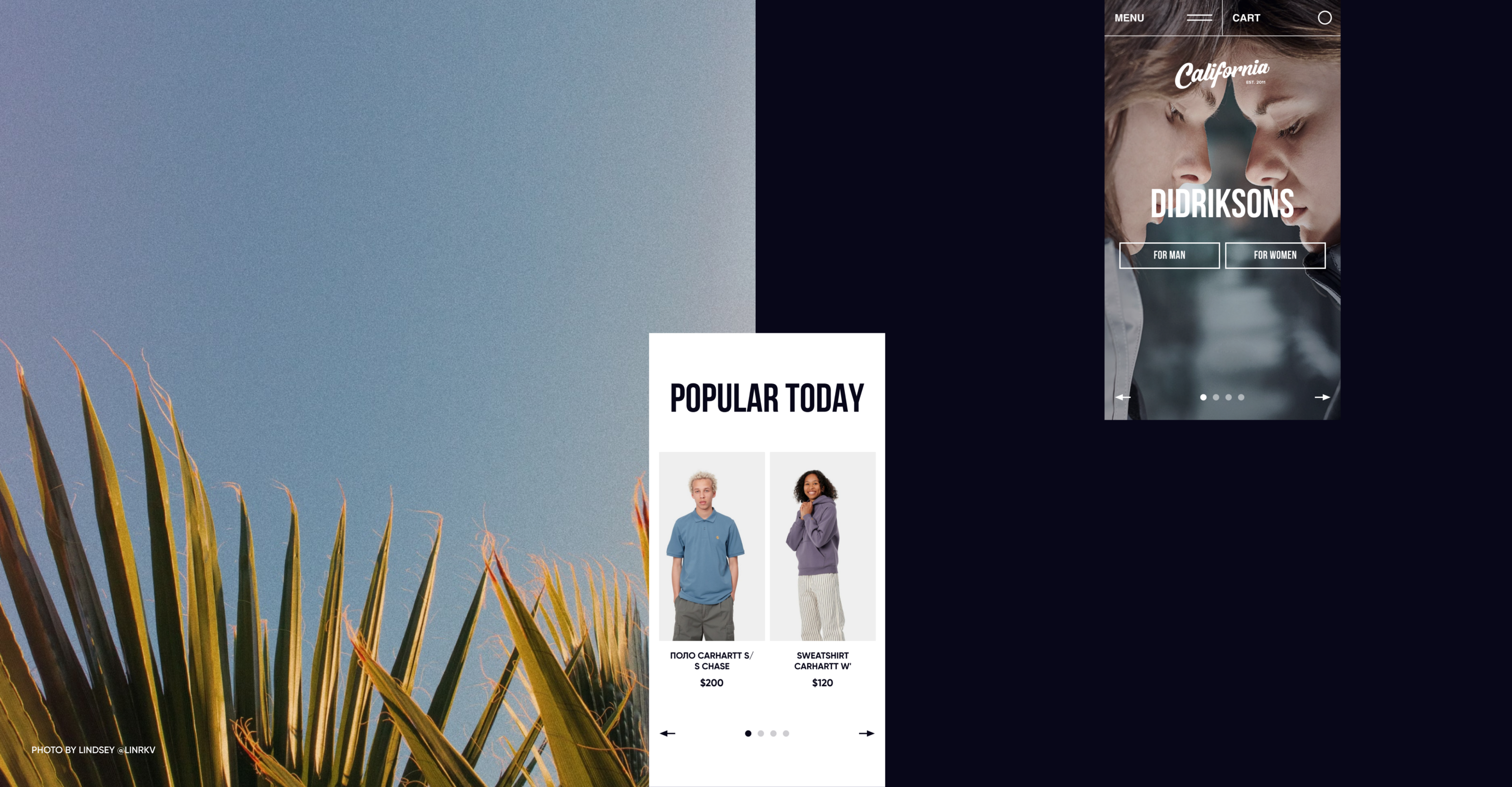 California store — Изображение №3 — Интерфейсы на Dprofile